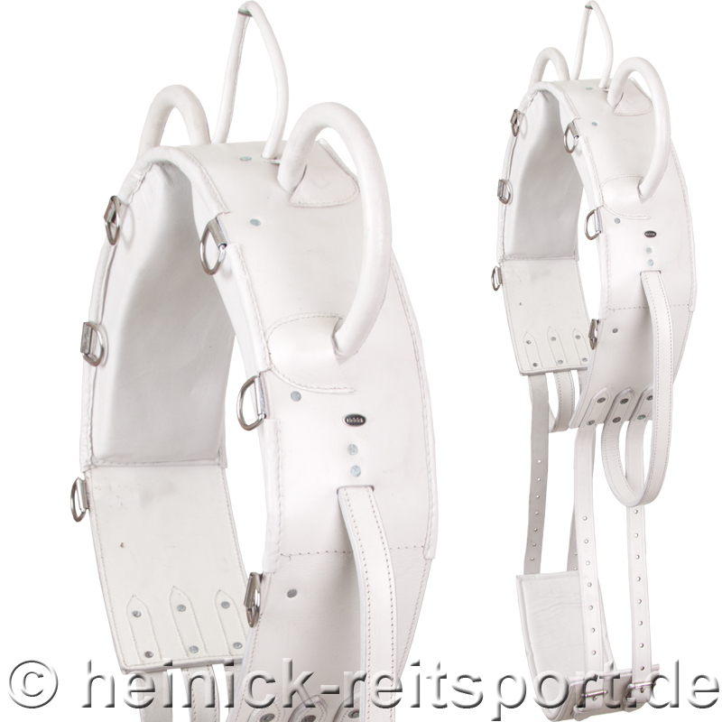 Voltigiergurt-Weiss-Warmblut-Vollblut