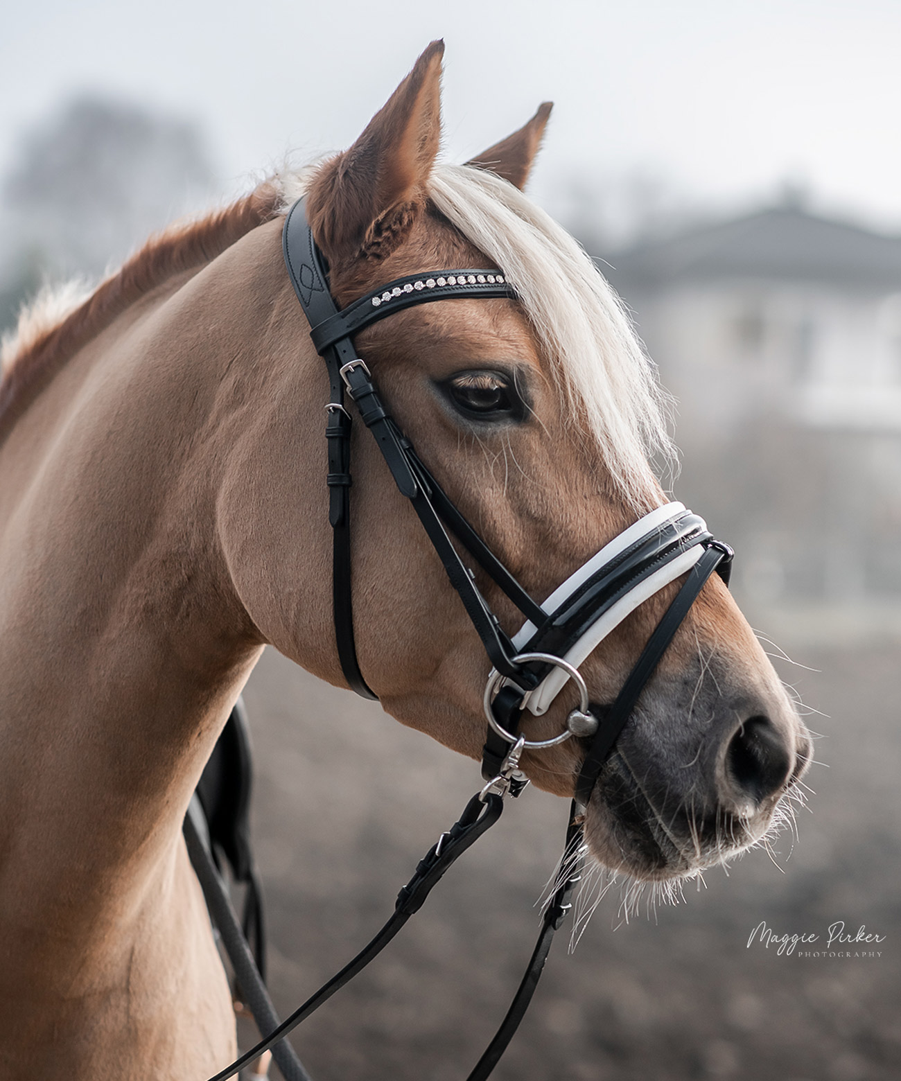 Trense-Motion-breites-reithafter-anatomisch-schwarz-weiss