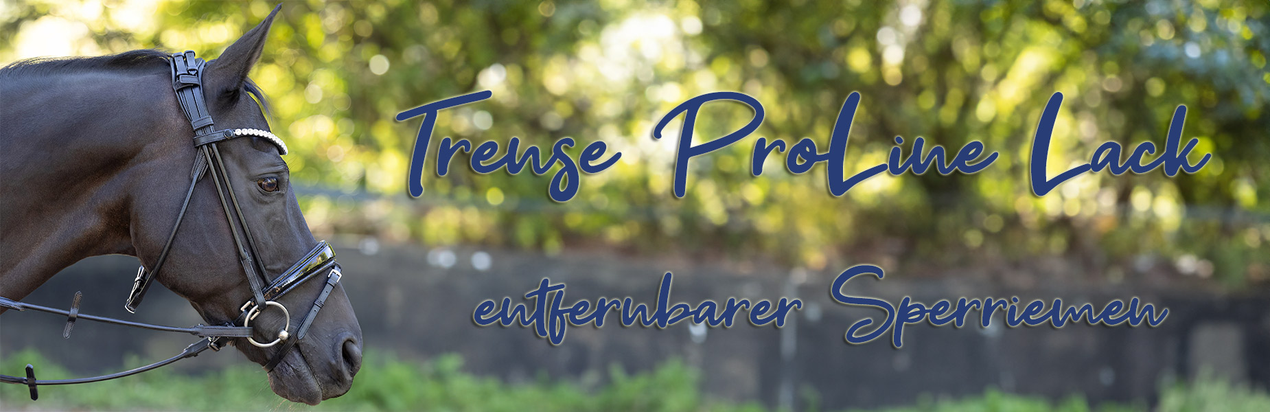 Trense-ProLine-Lack-Schwarz-Banner