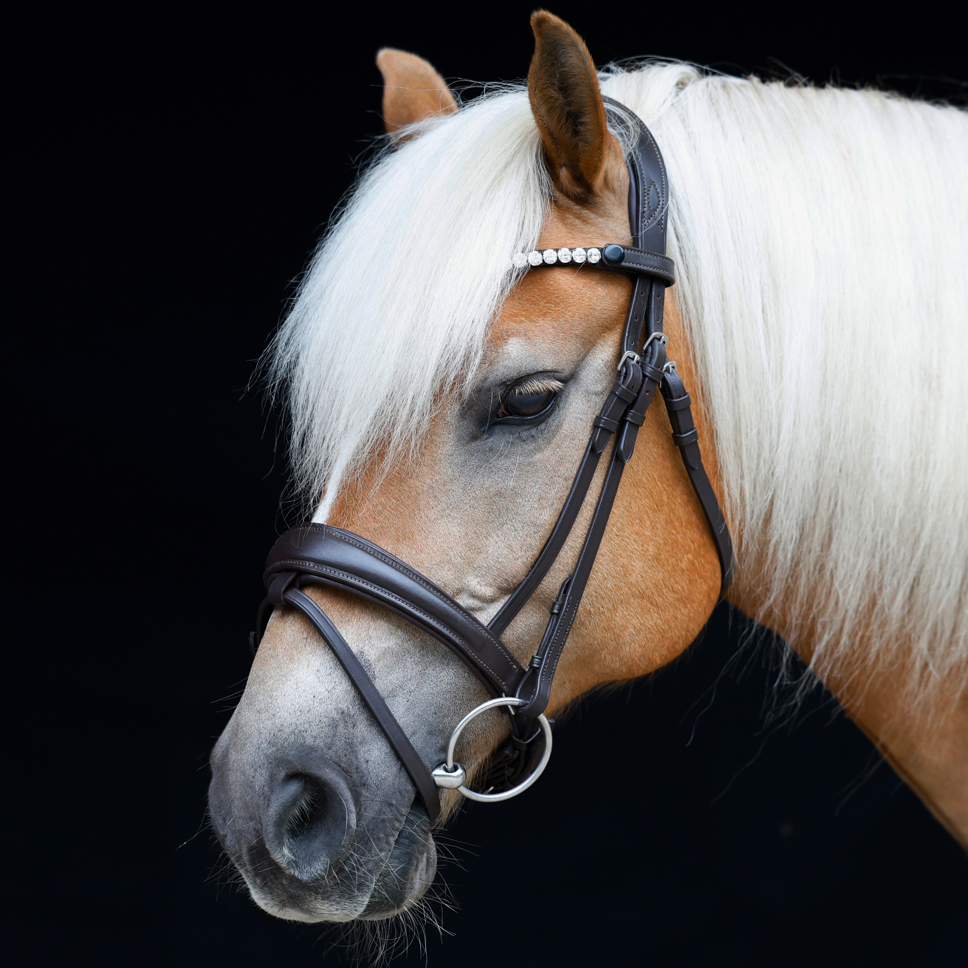 Trense-Performance-abnehmbarer-Sperrriemen-Braun