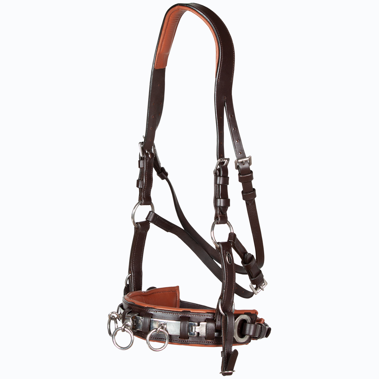 Kappzaum-Leder-anatomisch-mit-Naseneisen-Edelstahl-Wiener-WB-VB-Braun