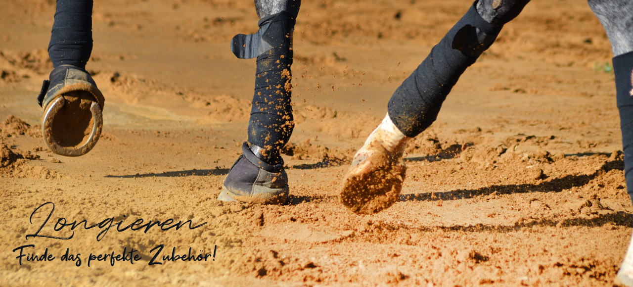 longieren