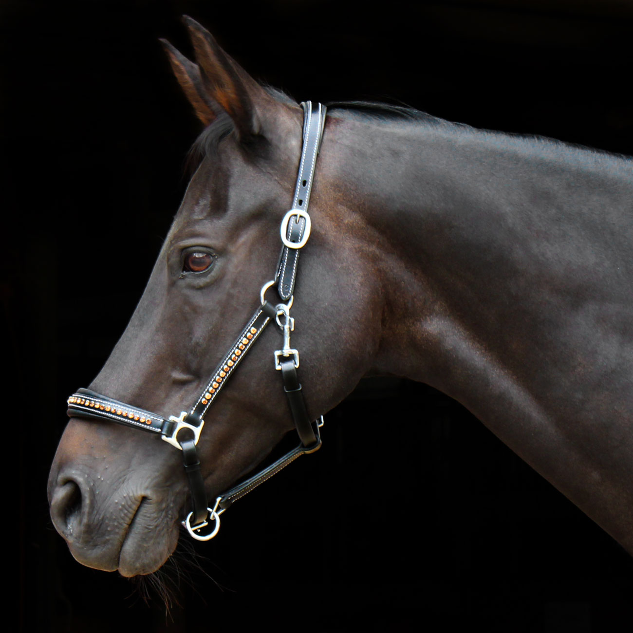 Lederhalfter-Braun-Beige-Strass-Gold