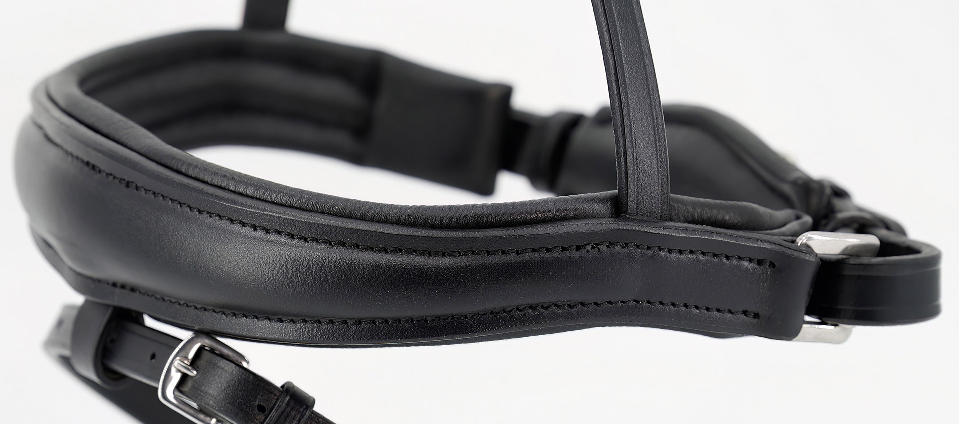 Reithalfter-abnehmbarer-Sperrriemen-anatomisch-Competition-schwarz-Warmblut-Vollblut