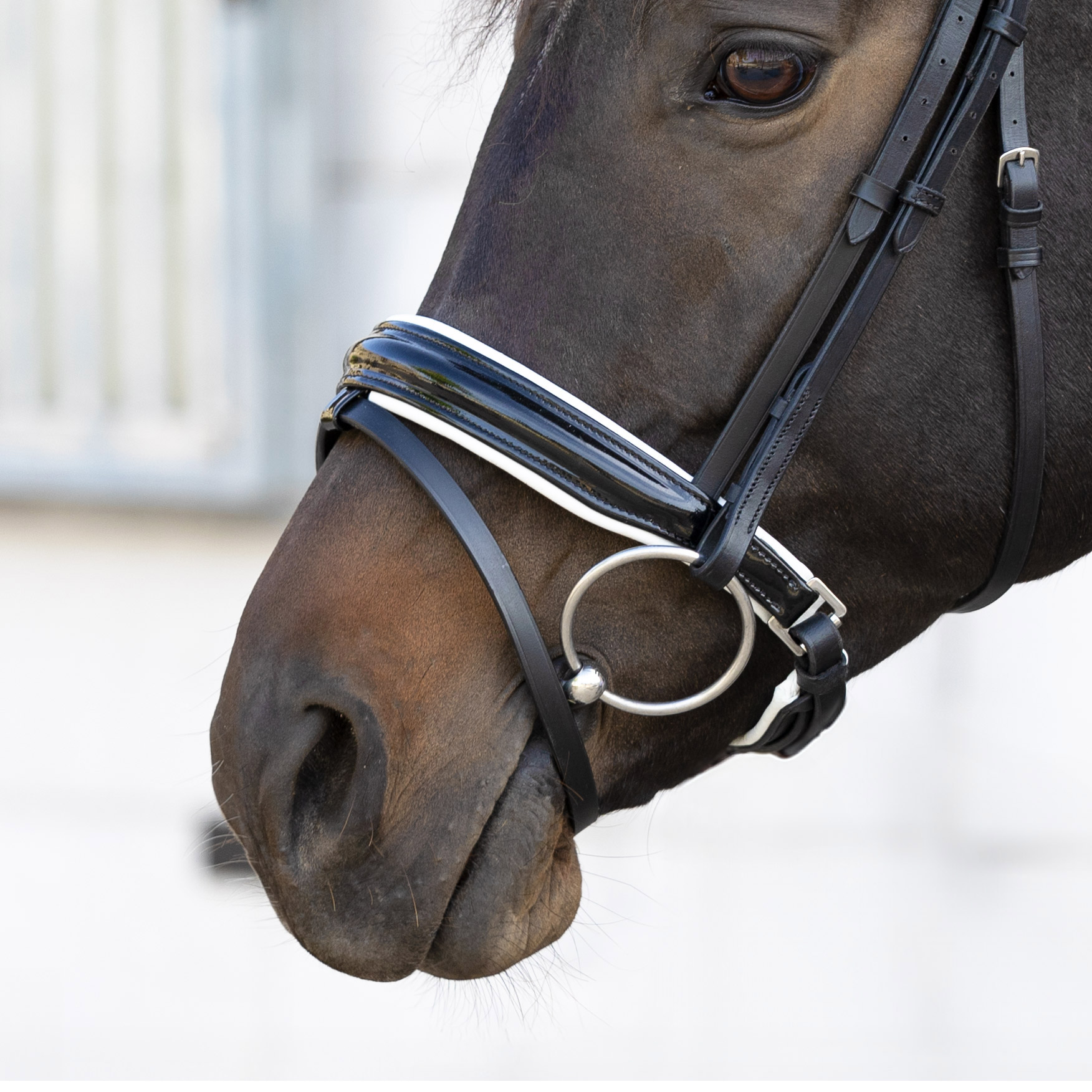 Reithalfter-Selection-Weiss-Lack-Zaumhaken