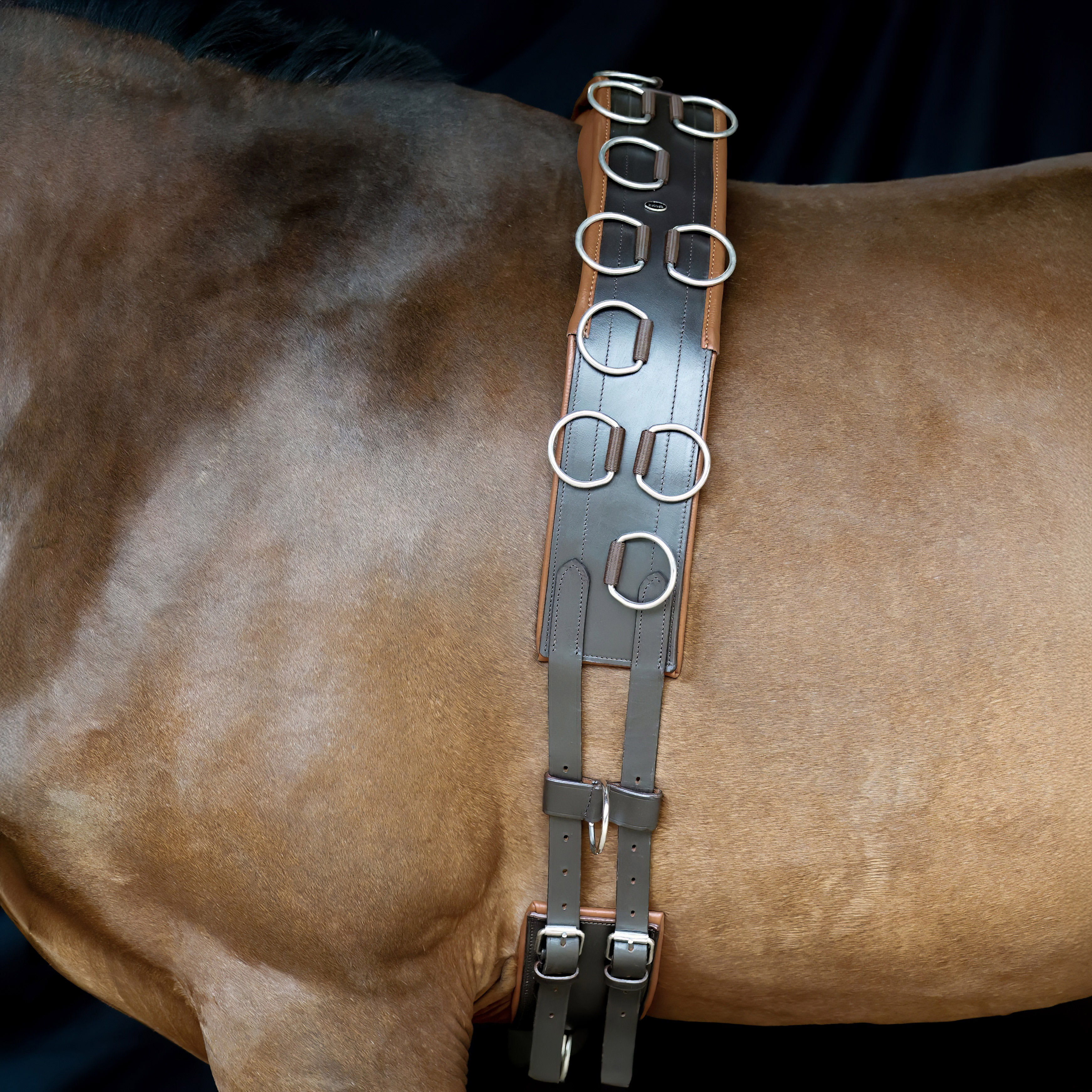 Longiergurt-Leder-20-Ringe-Braun-Warmblut-Vollblut