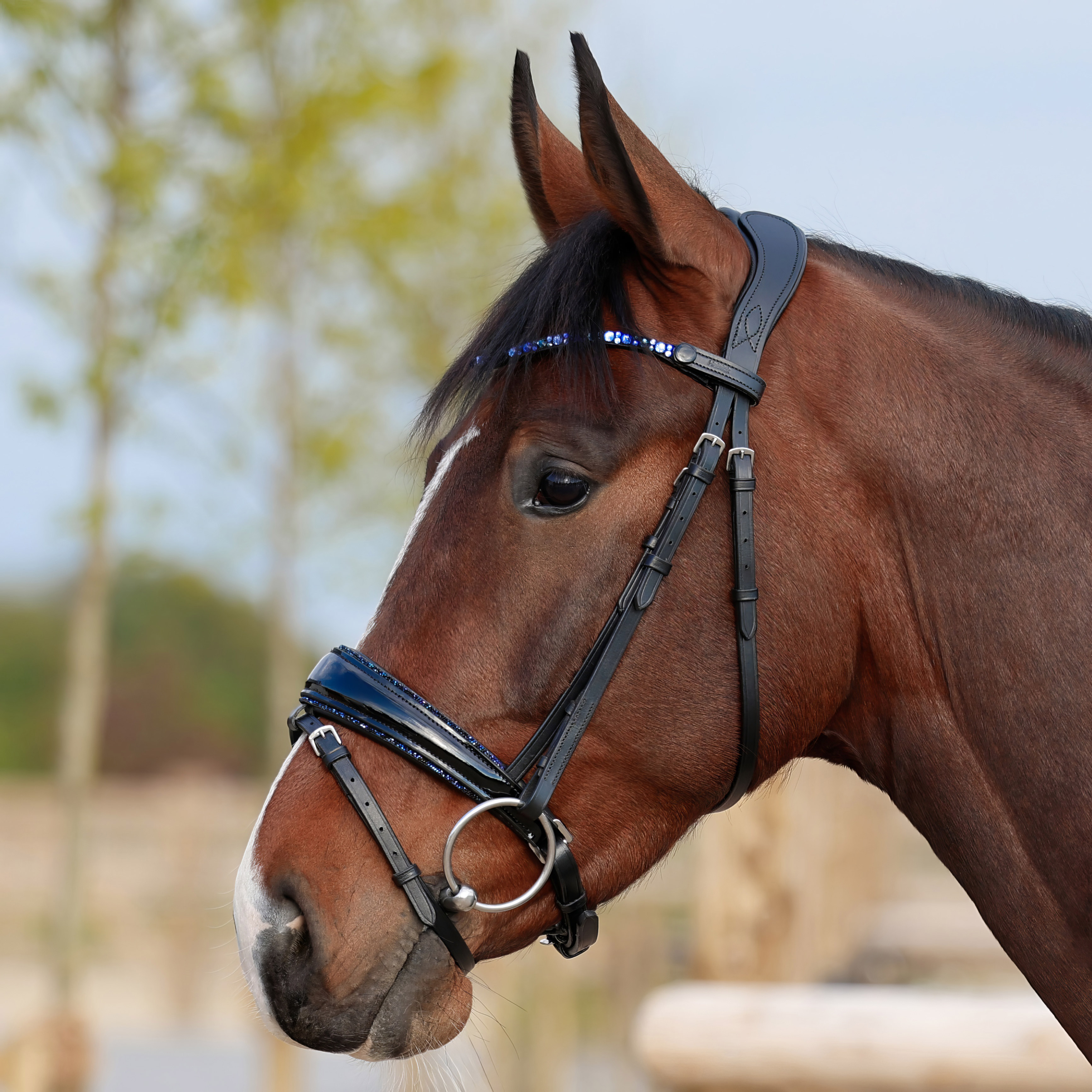 Trense-abnehmbarere-Sperrriemen-Lack-Shiny-Glitzer-blau