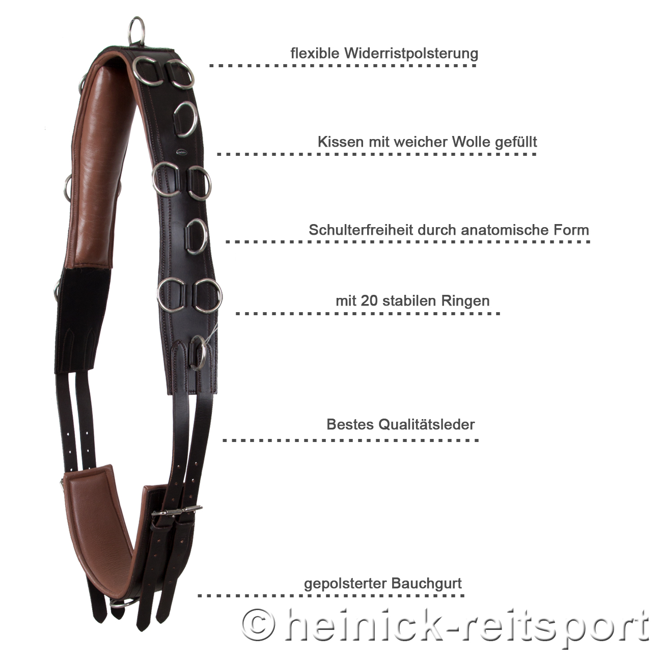 Anatomischer-Longiergurt-Braun-Warmblut-Vollblut