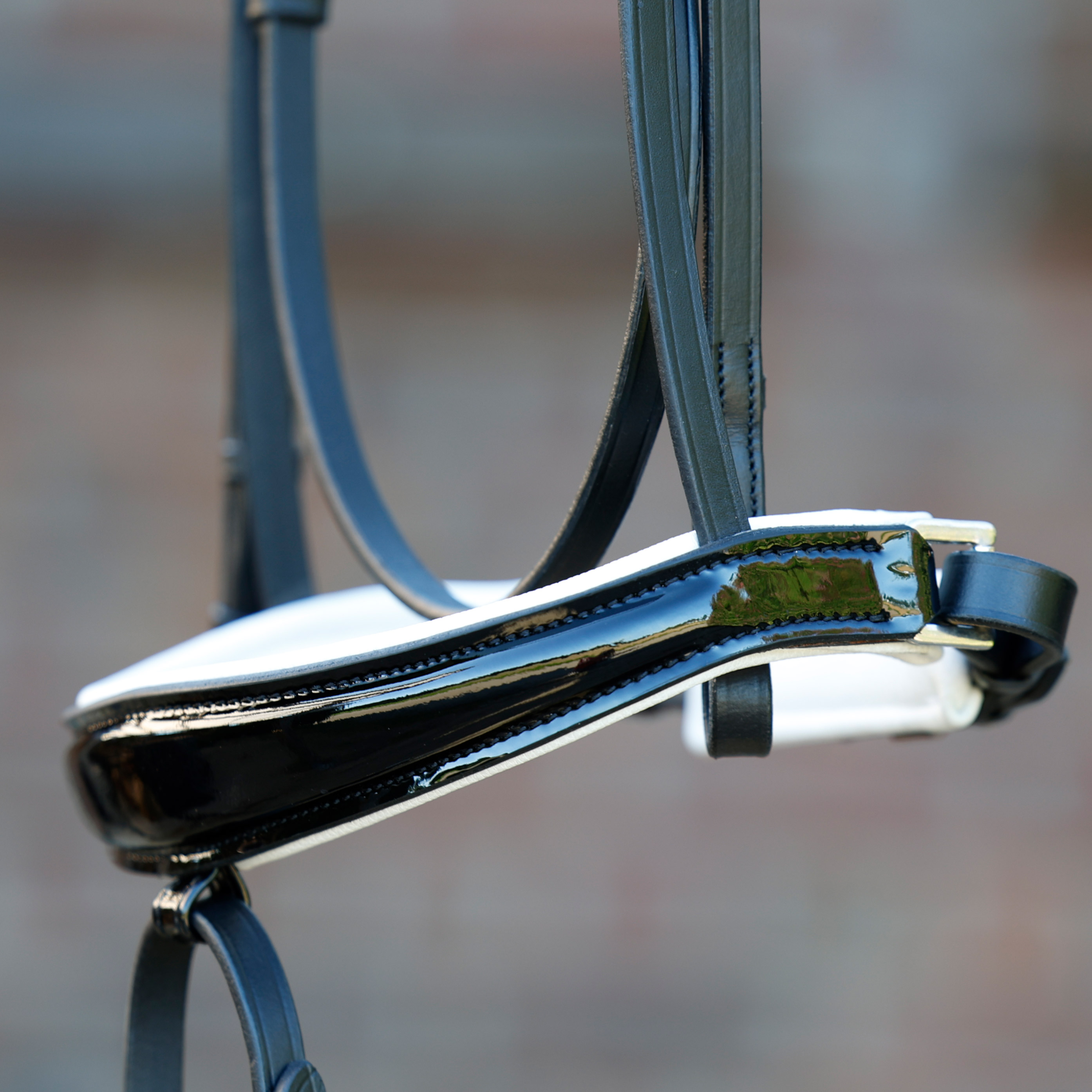 Reithalfter-Competition-Schwarz-Weiss-Lack-WB-VB