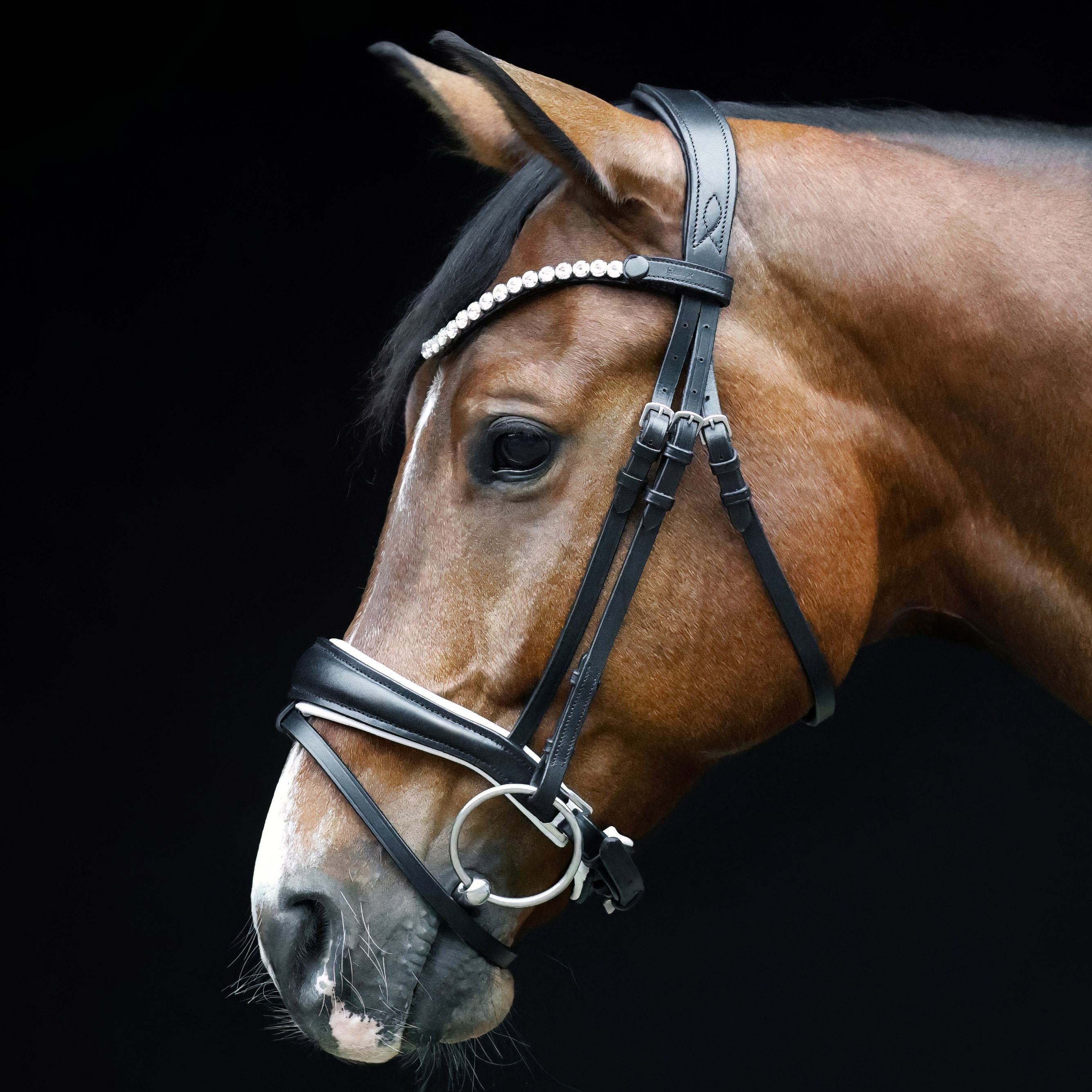 Trense-Competition-anatomisch-Reithalfter-Schwarz-Weiss-entfernbarer-Sperrriemen