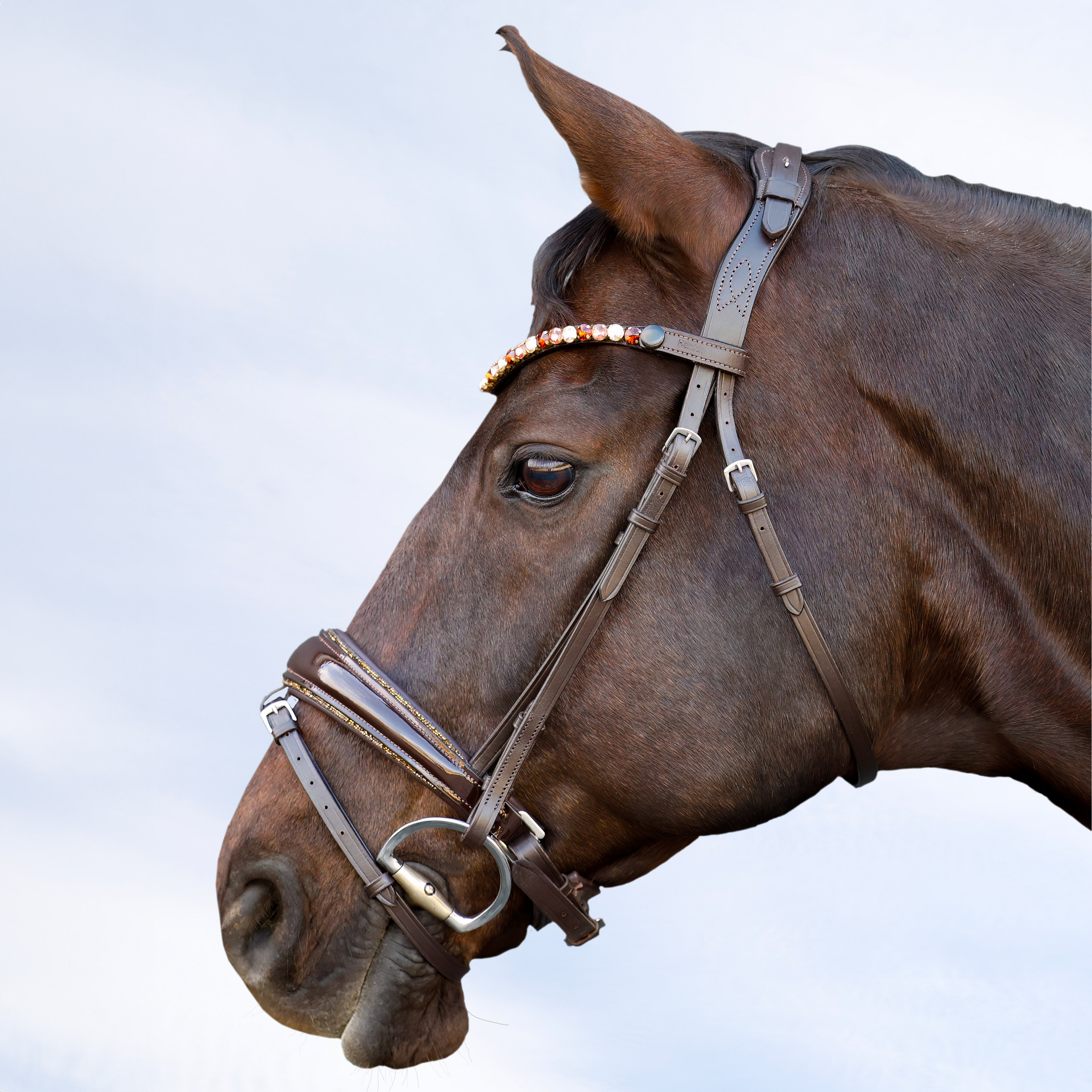 Trense-Shiny-Glitzer-abnehmbarer-Sperrriemen-Braun-Gold