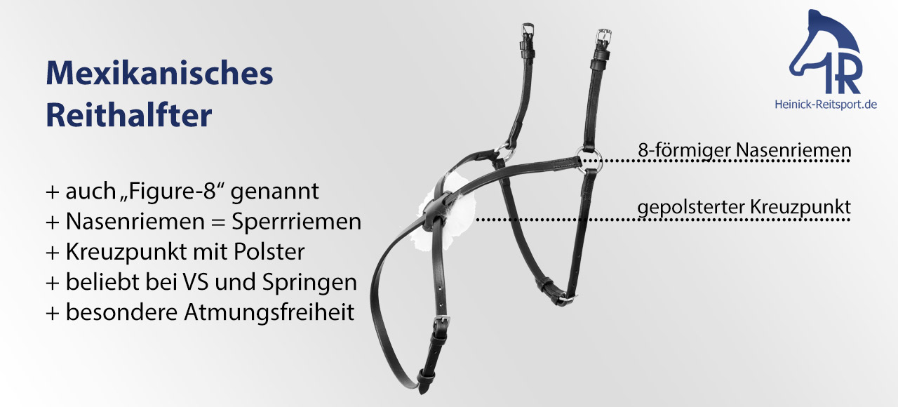 Mexikanisches-Reithalfter-Trense-mit-Bild-Erklaert