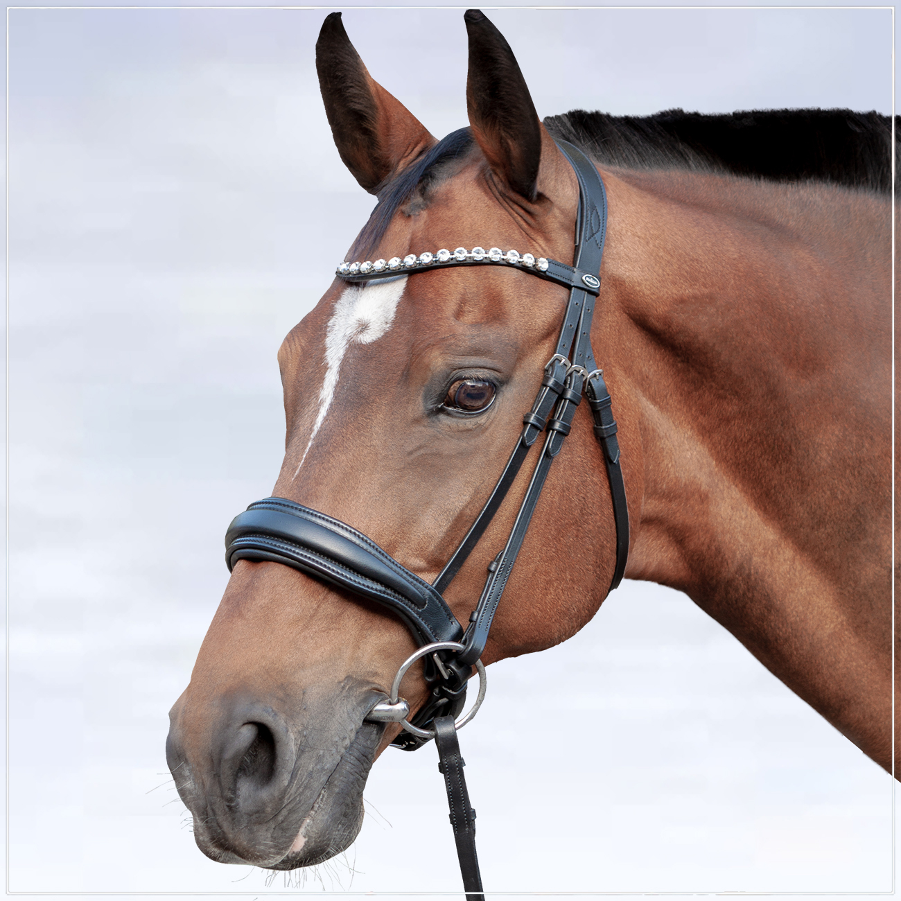 Trense-ohne-Sperrriemen-Custom-anatomisch-Zaumhaken-schwarz-Glow-Silver-WB-VB