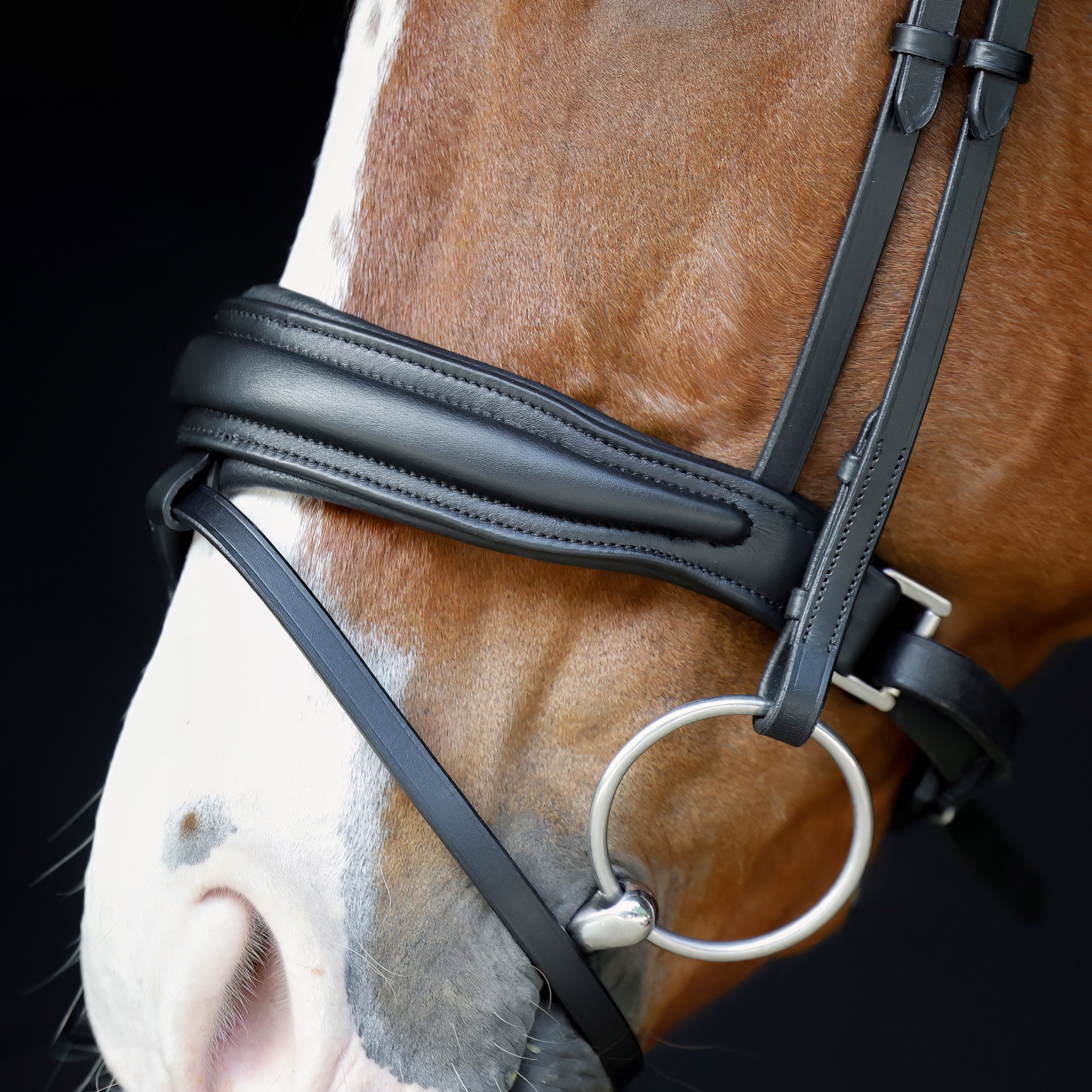 Reithalfter-entfernbarer-Sperrriemen-Custom-Breit-Schwarz