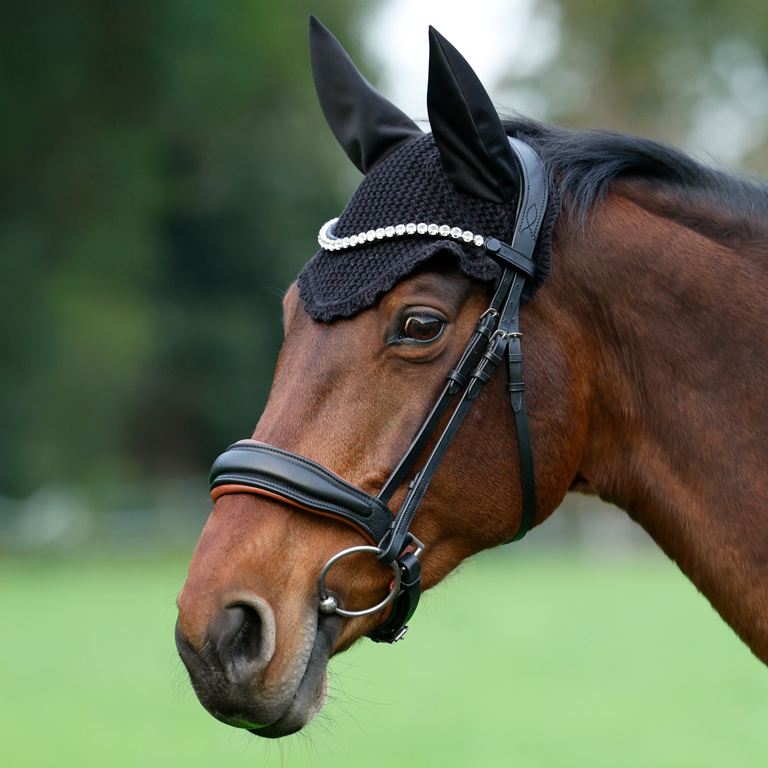 Trense-ohne-Sperrriemen-Custom-Zaumhaken-havanna