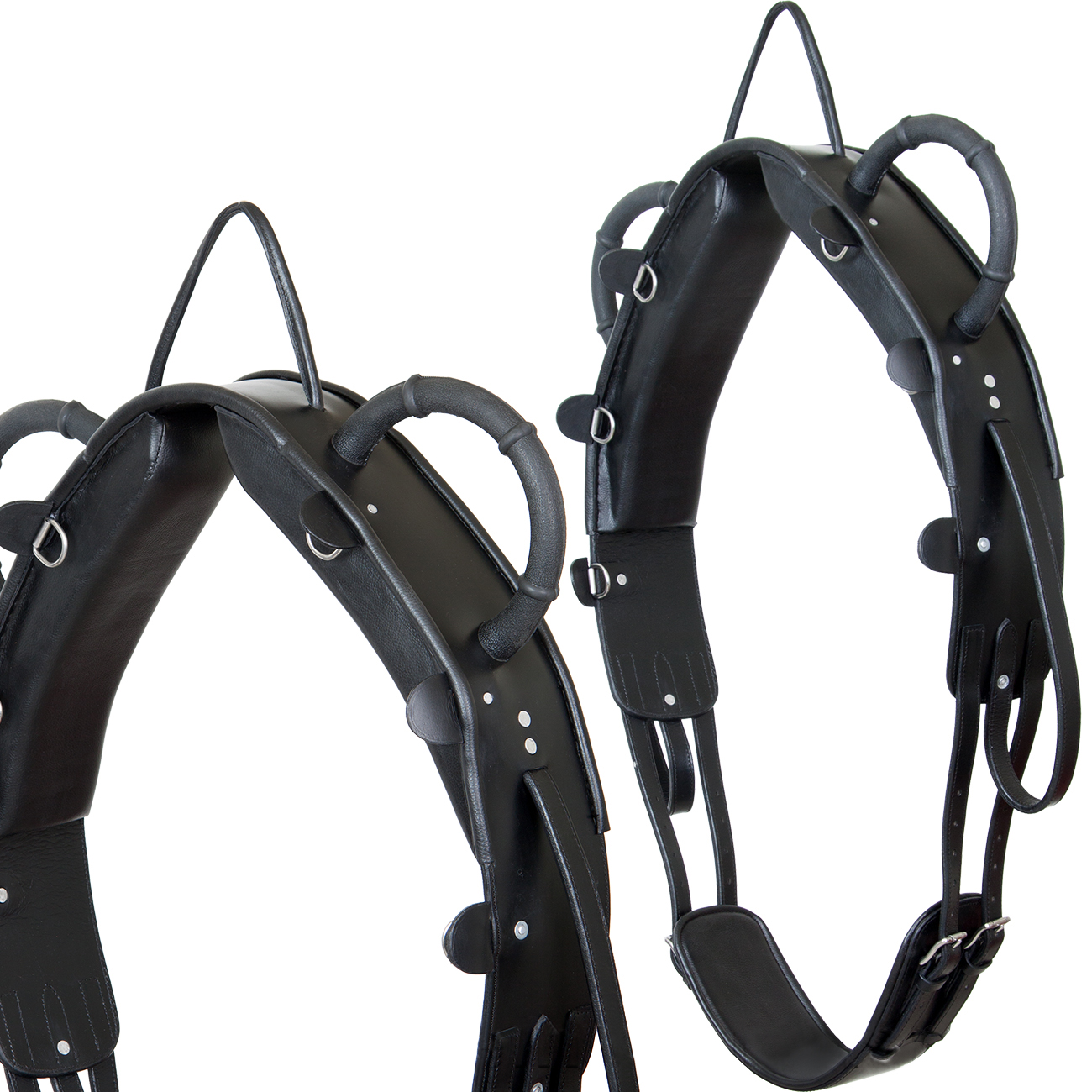 Voltigiergurt-Proline-Schwarz-Warmblut-Vollblut