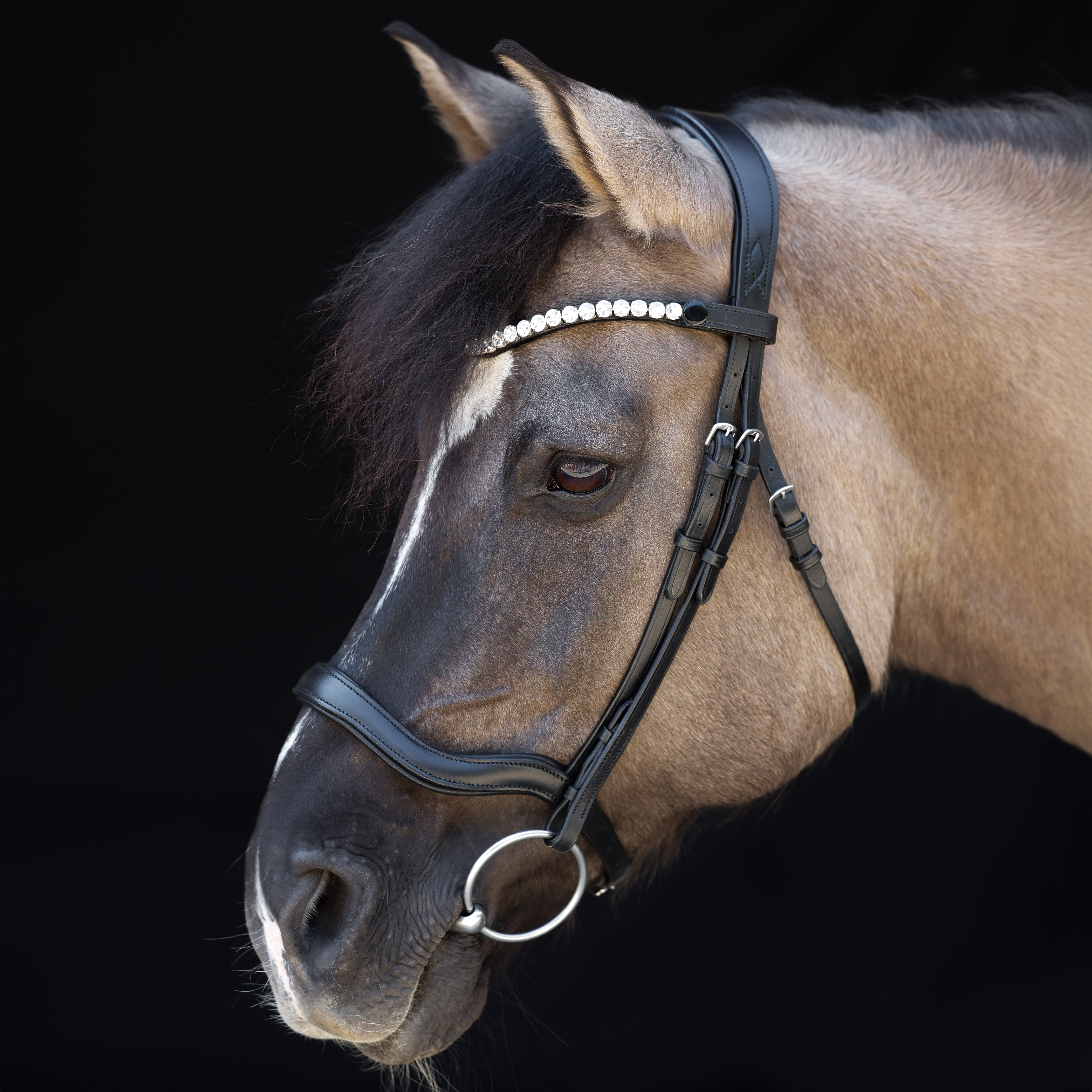 Trense-ohne-Sperriemen-Anatomic-Anatomisch-Schwarz