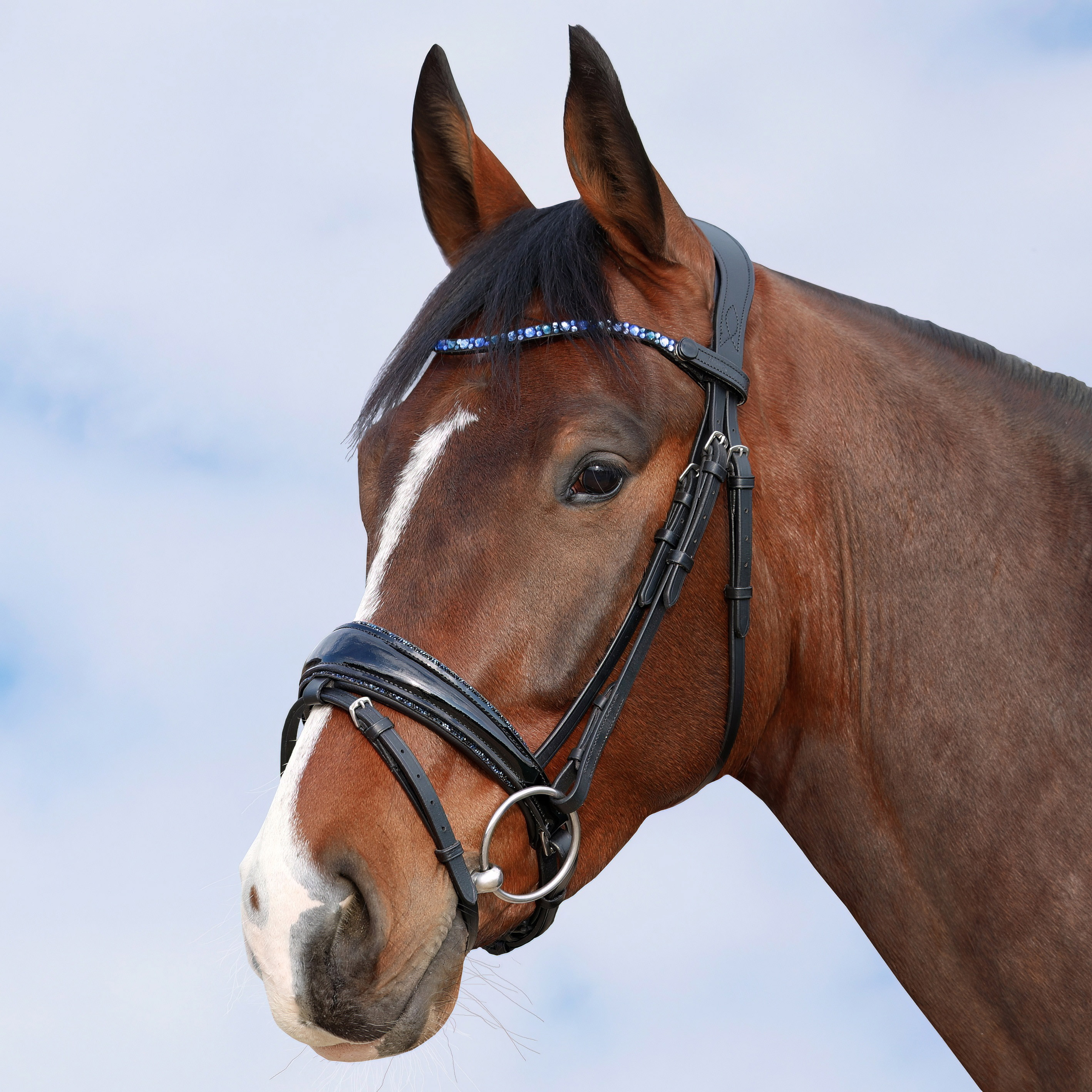 Trense-Lack-Shiny-Glitzer-Nasenriemen-Blau