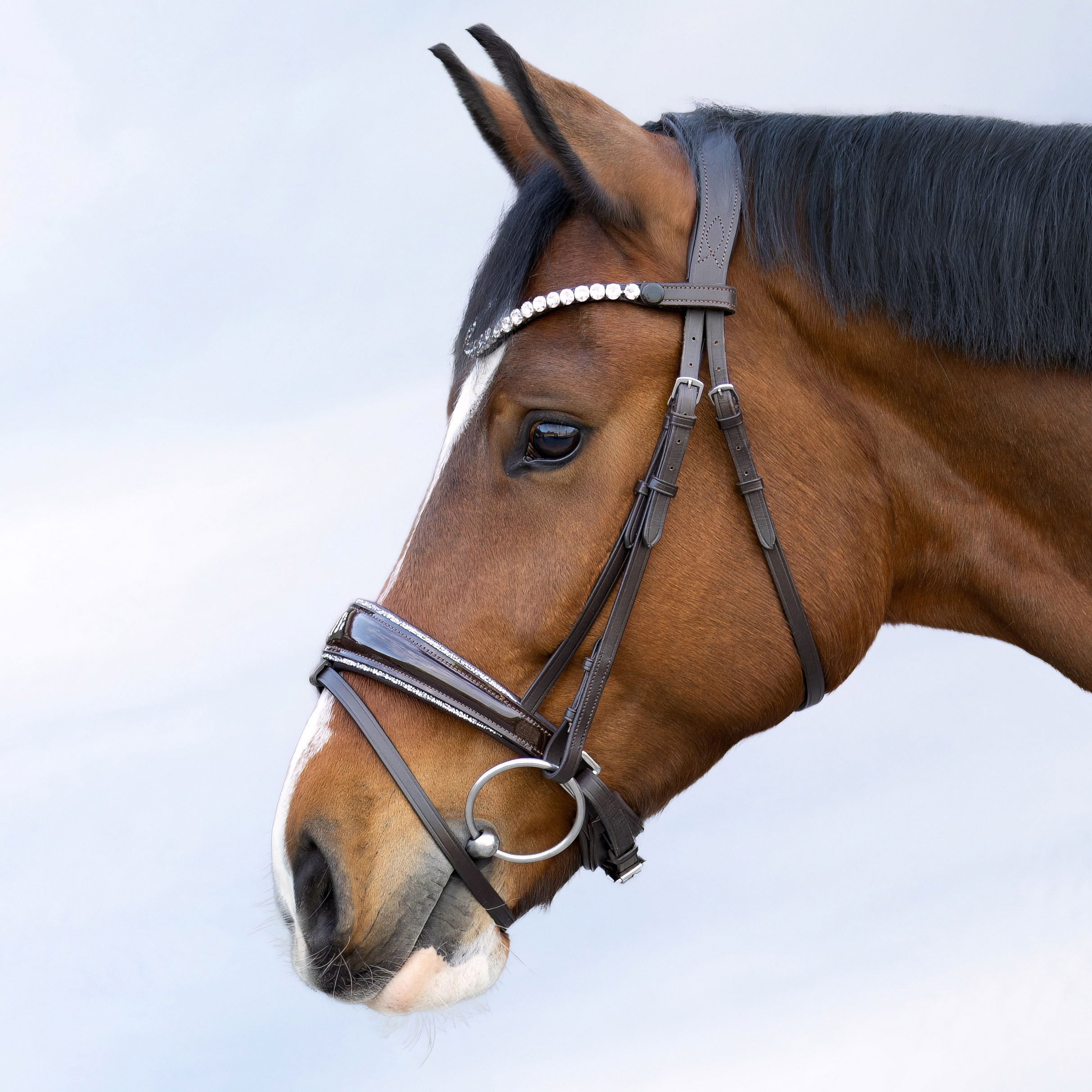 Trense-abnehmbarer-Sperrriemen-Braun-Shiny-Glitzer-Reithalfter-silber