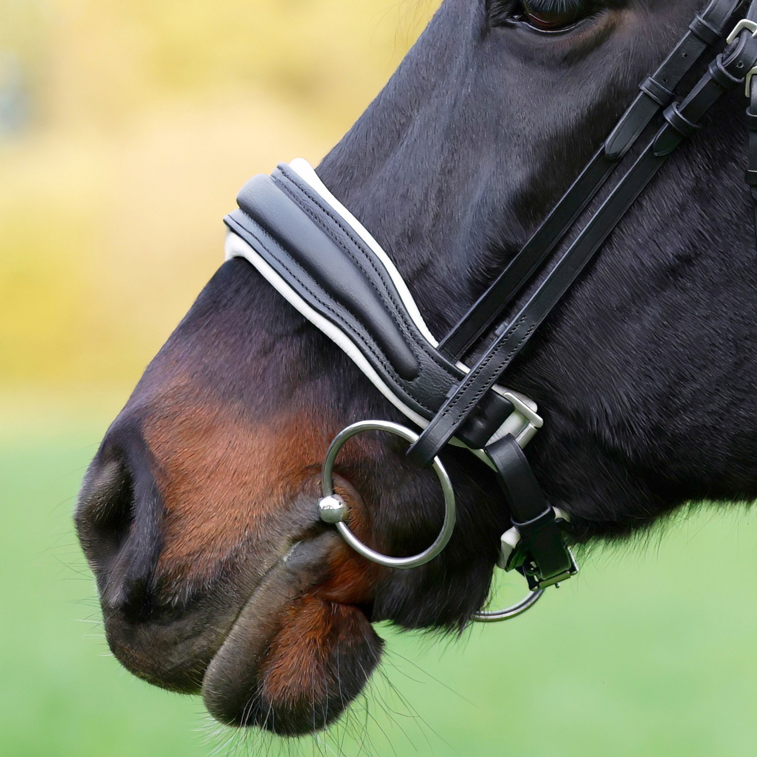 Reithalfter-Custom-Weiss-Zaumhaken-Ohne-Sperrriemen