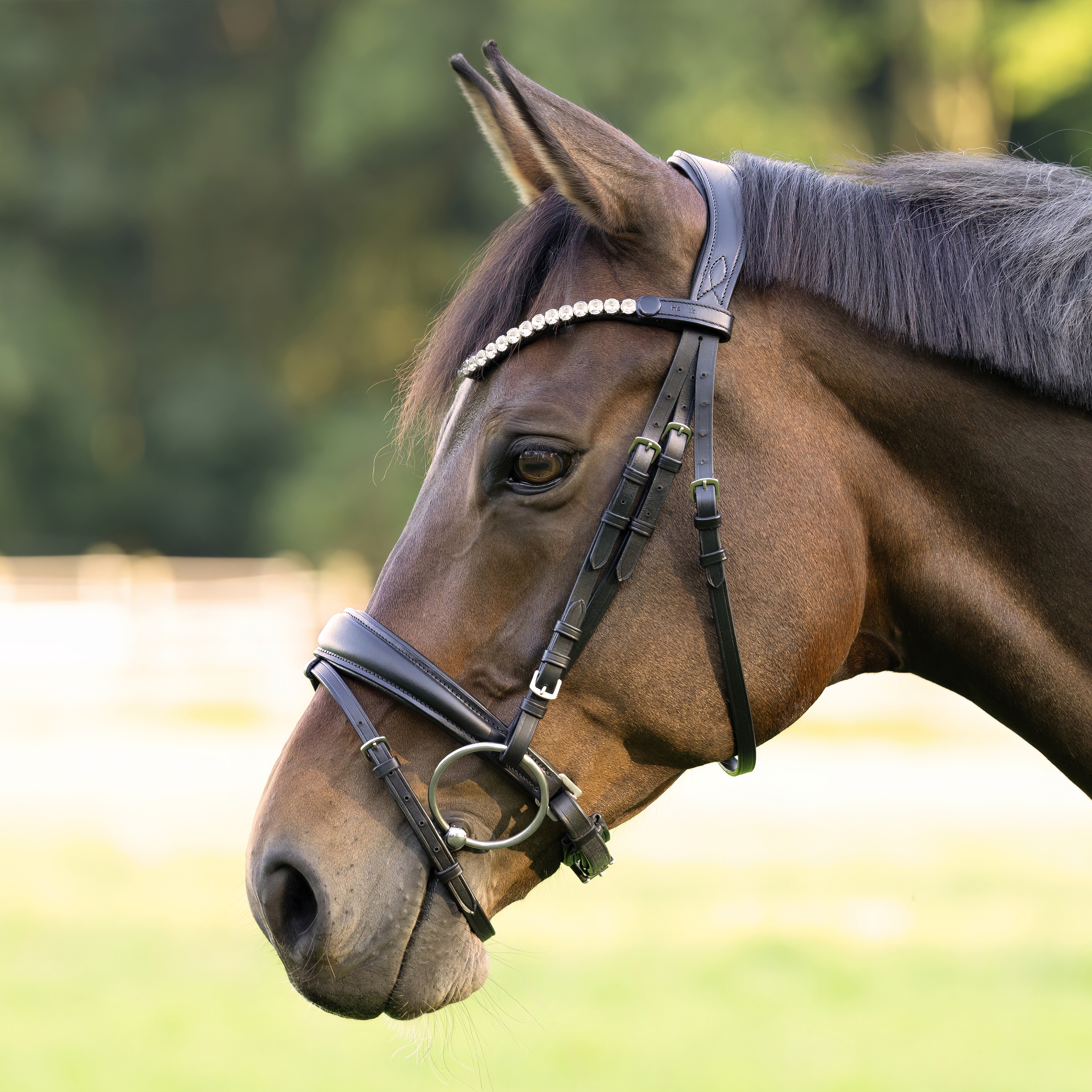 Trense-Performance-Schwarz-Schnallen-Glow-Silver