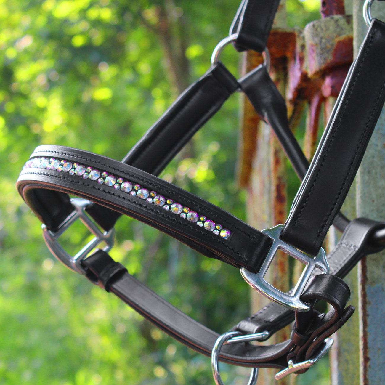 halfter-leder-strass-regenbogen-bunt-pink-warmblut-vollblut-heinick-5
