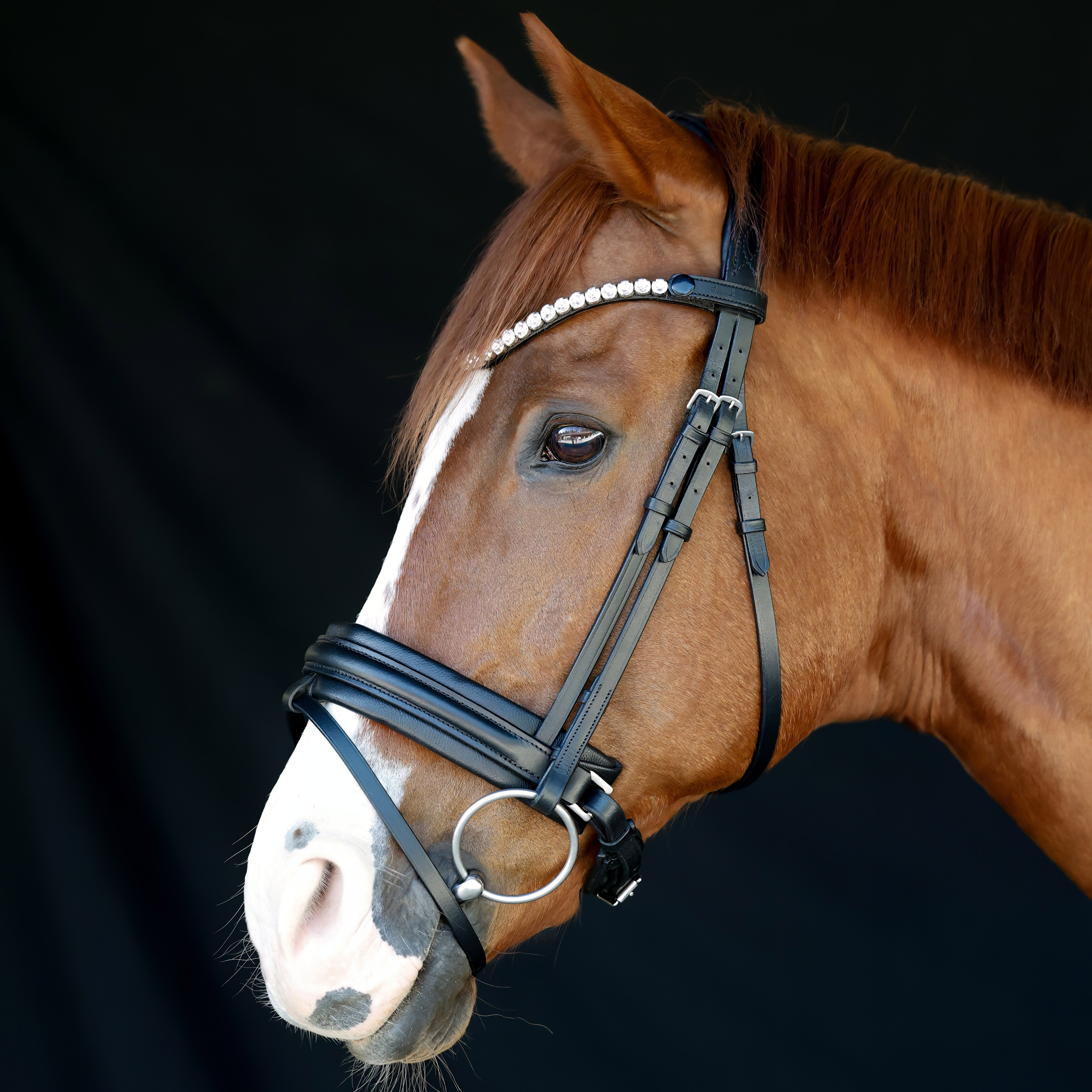 Trense-Motion-Breit-abnehmbarer-Sperrriemen-Schwarz