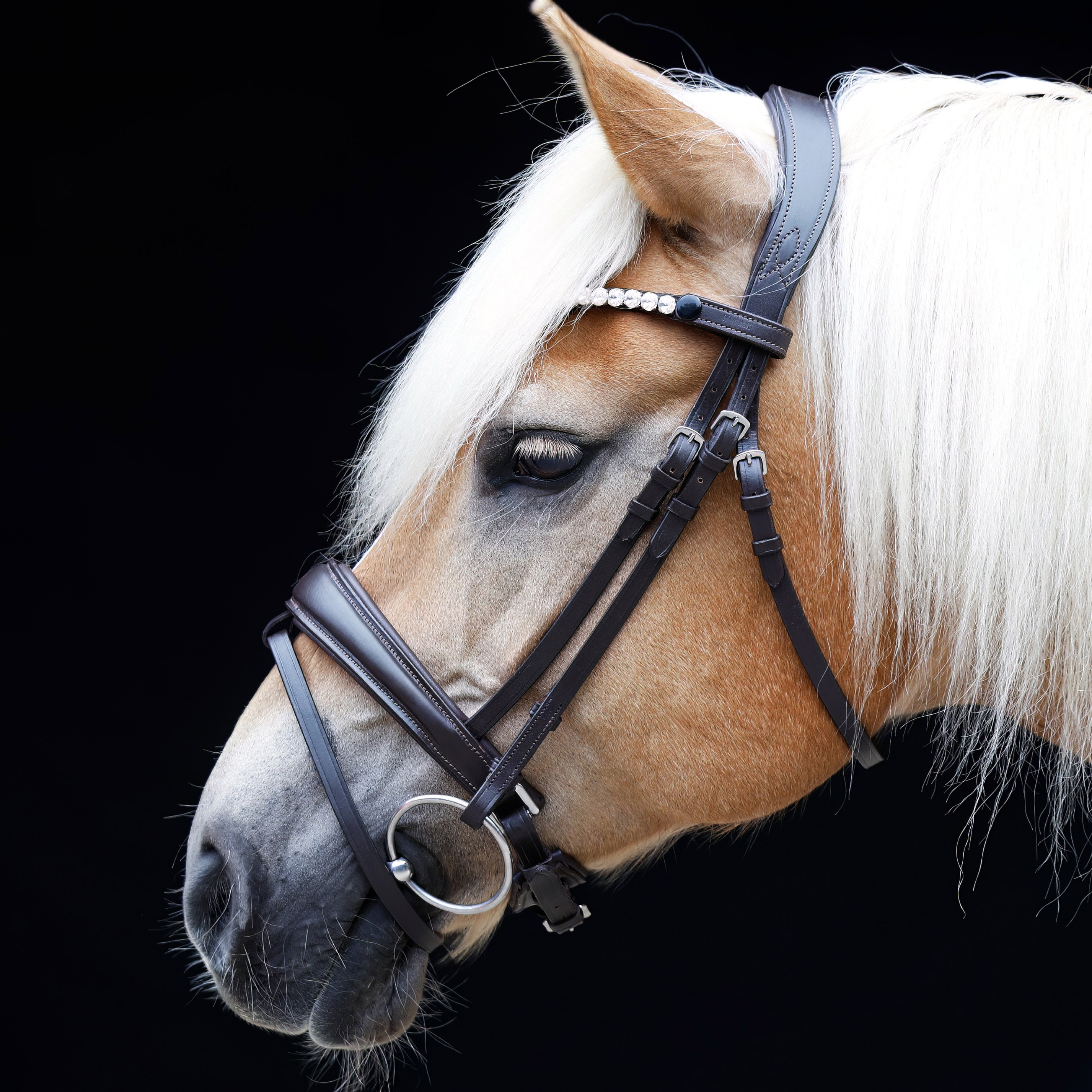 Trense-Performance-entfernbarer-Sperrriemen-Braun