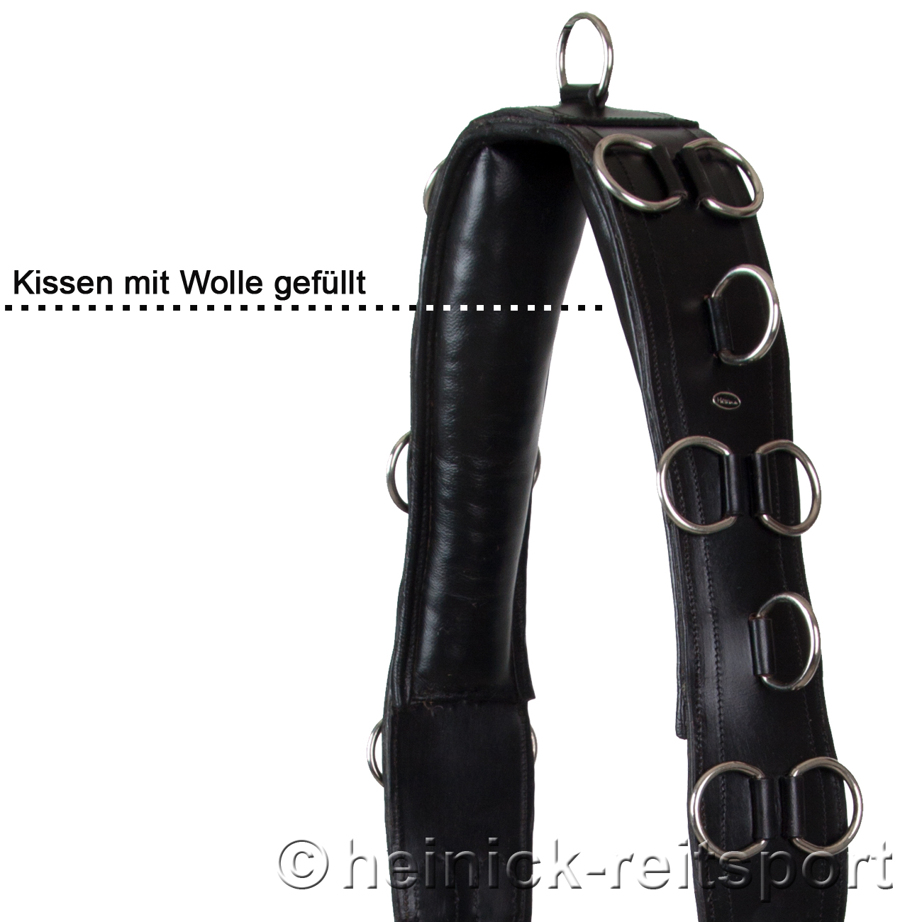 Anatomischer-Lederlongiergurt-Schwarz-Warmblut-Vollblut