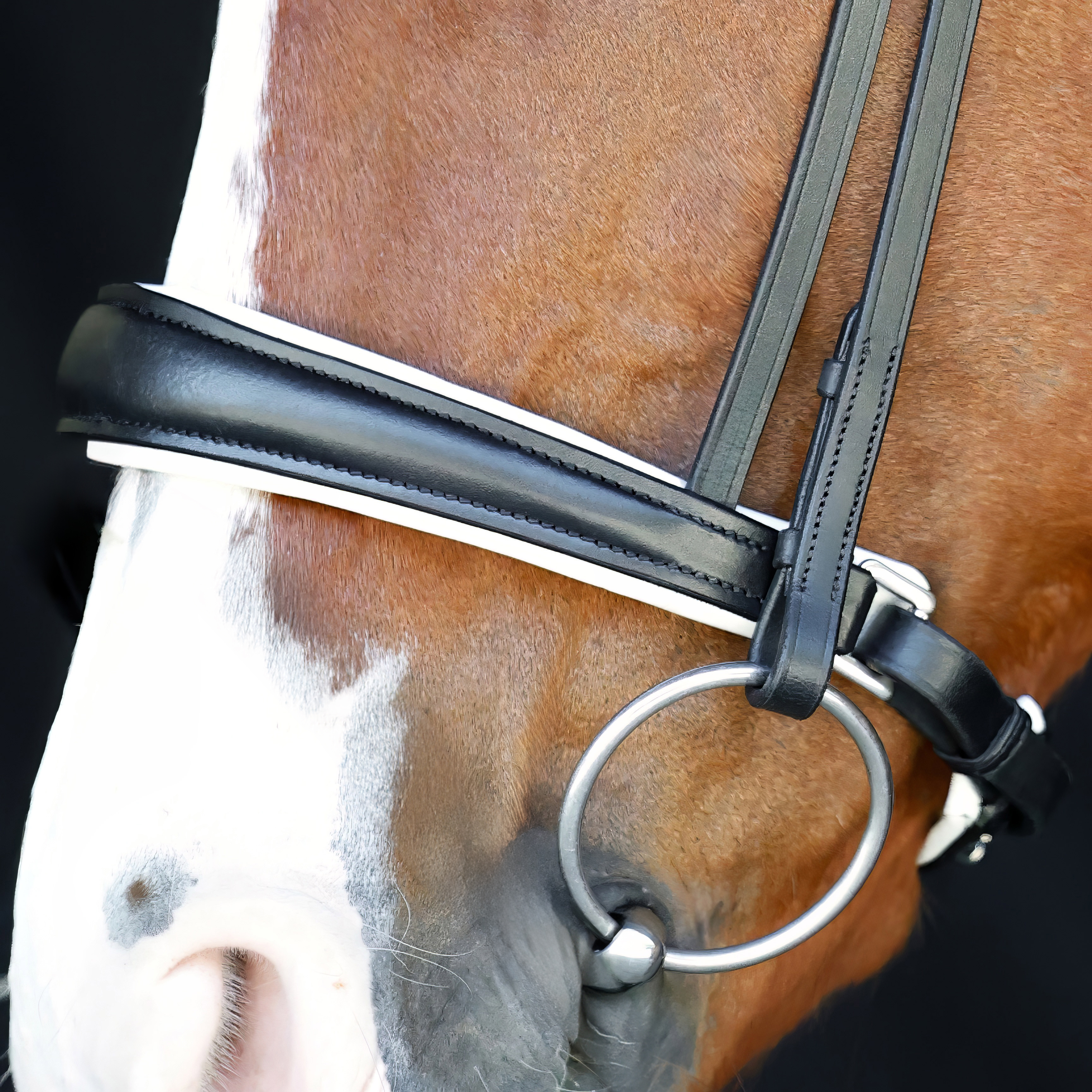 Reithalfter-entfernbarer-Sperrriemen-Performance-Weiss-unterlegt