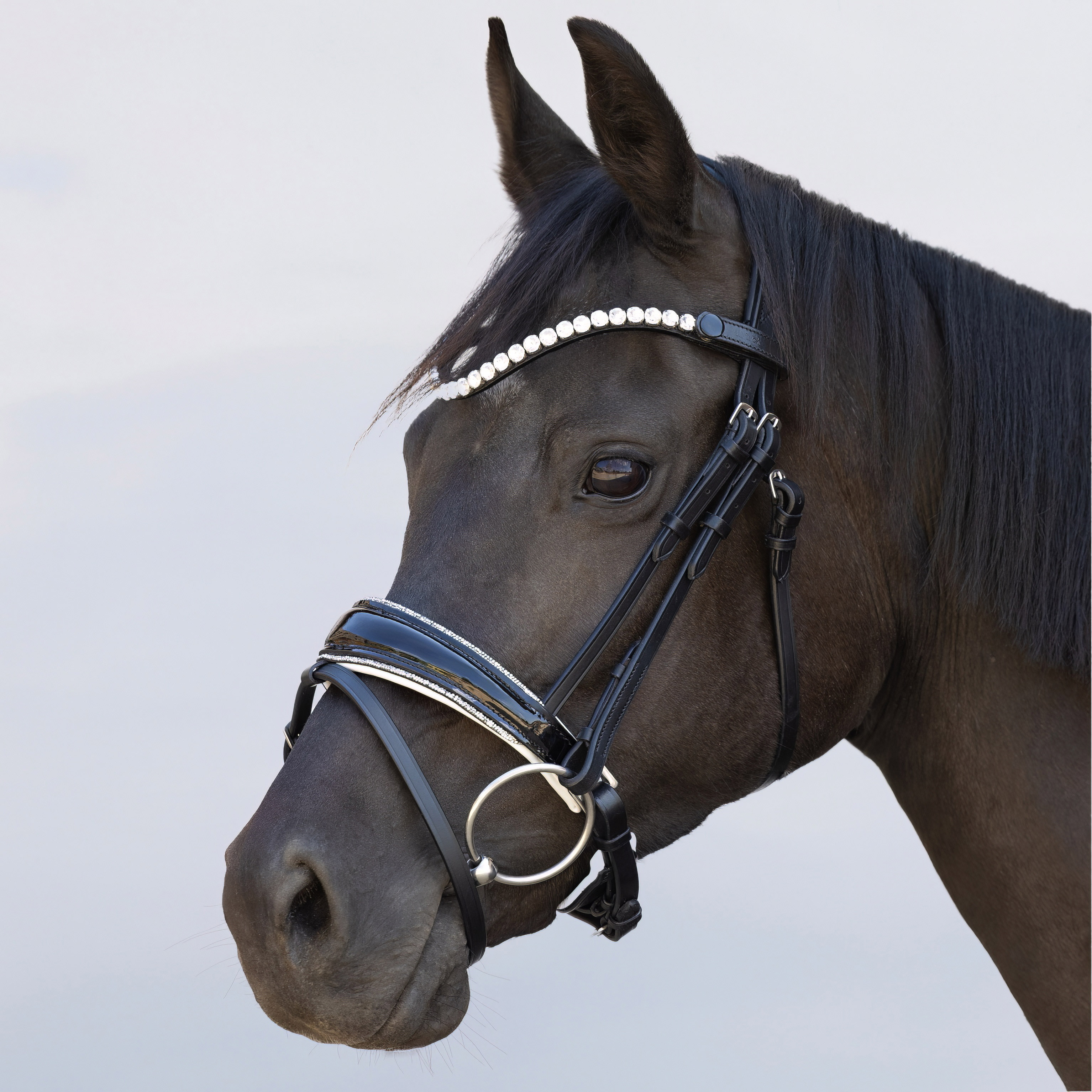 Trense-abnehmbarer-Sperrriemen-Schwarz-Weiss-Shiny-Glitzer-Silber