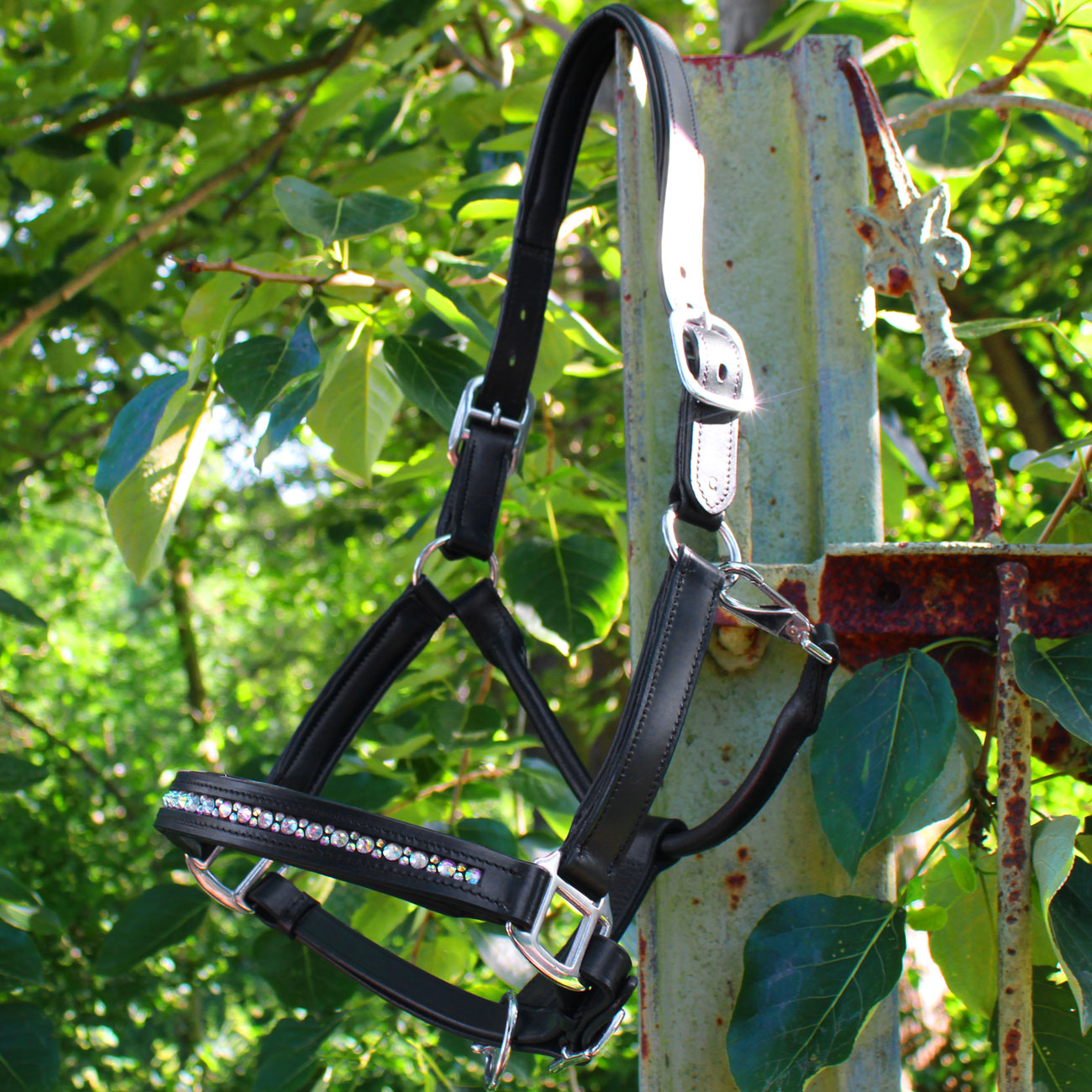 halfter-leder-strass-regenbogen-bunt-pink-warmblut-vollblut-heinick-2