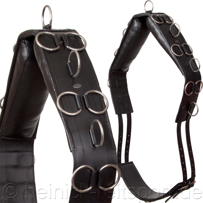 Leder-Longiergurt-20-Ringe-Schwarz-Warmblut-Vollblut
