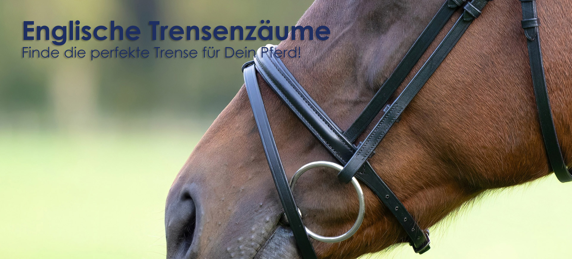 banner-englische-trensen