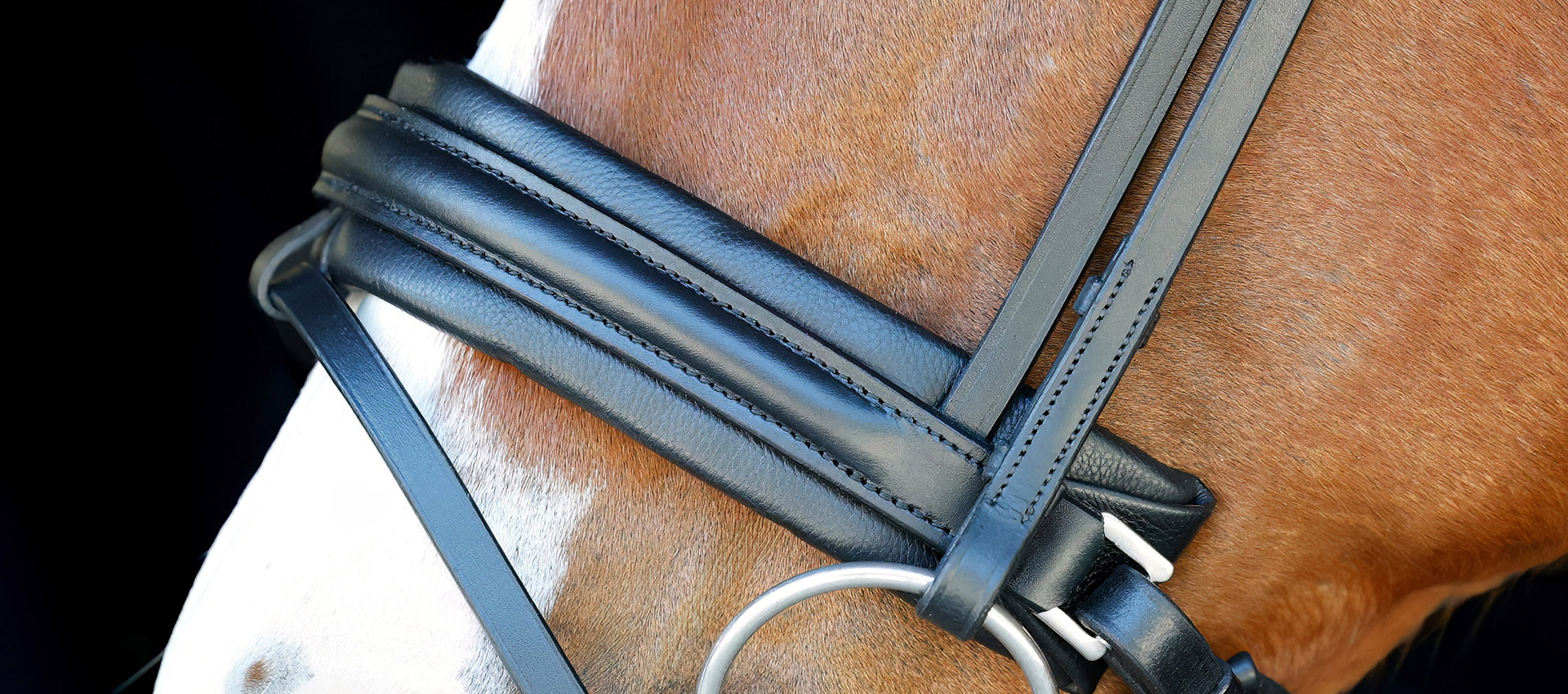 Reithalfter-entfernbarer-Sperrriemen-Motion-Breiter-Nasenriemen-Schwarz