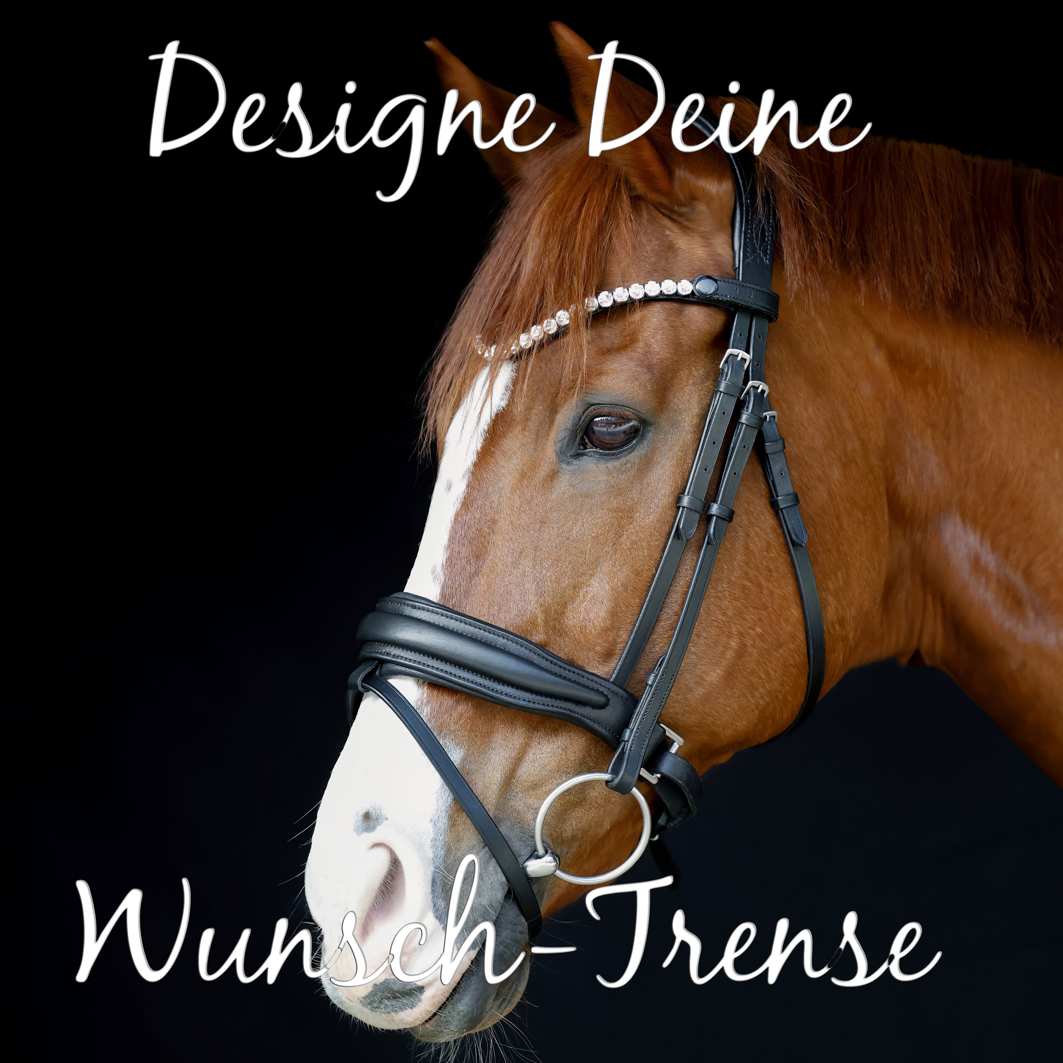 Trense-selbst-desidnen-gestallten-Schwarz