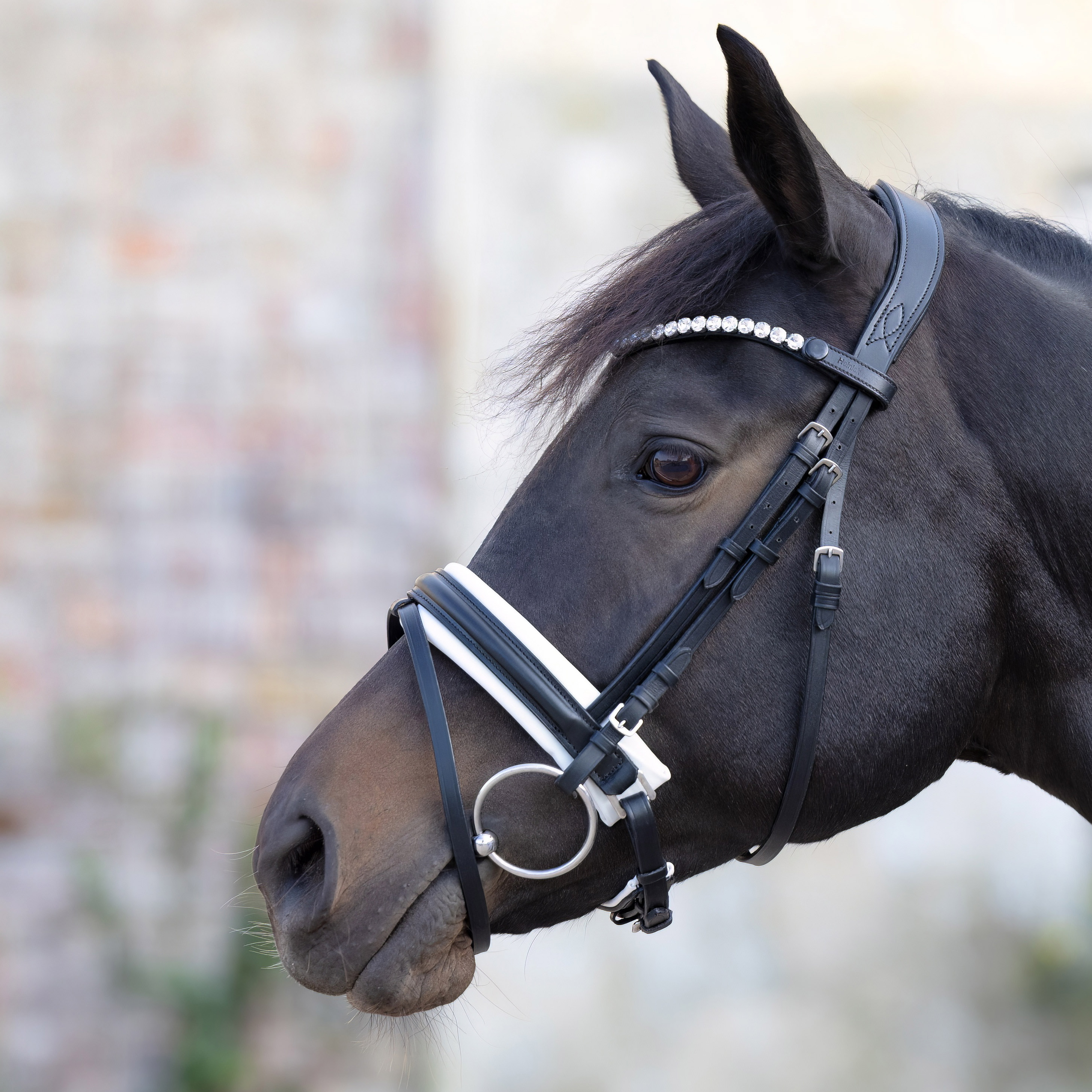 Trense-Motion-Schwarz-Weiss-Schnallen