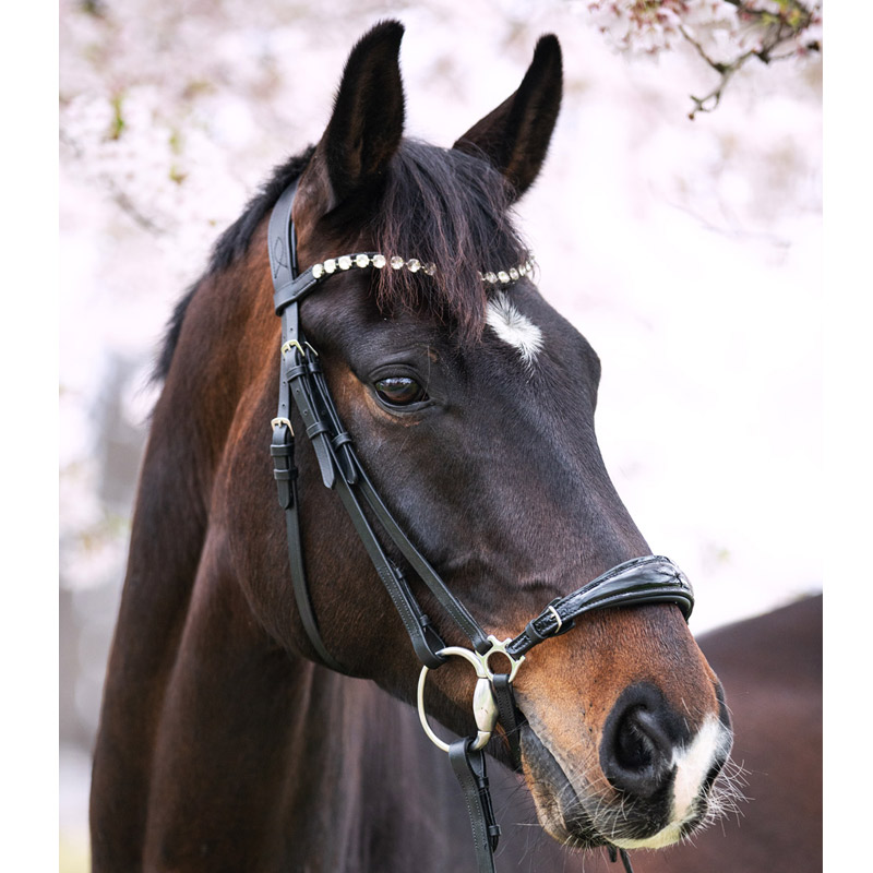 Hannover-Stride-Lack-800x800