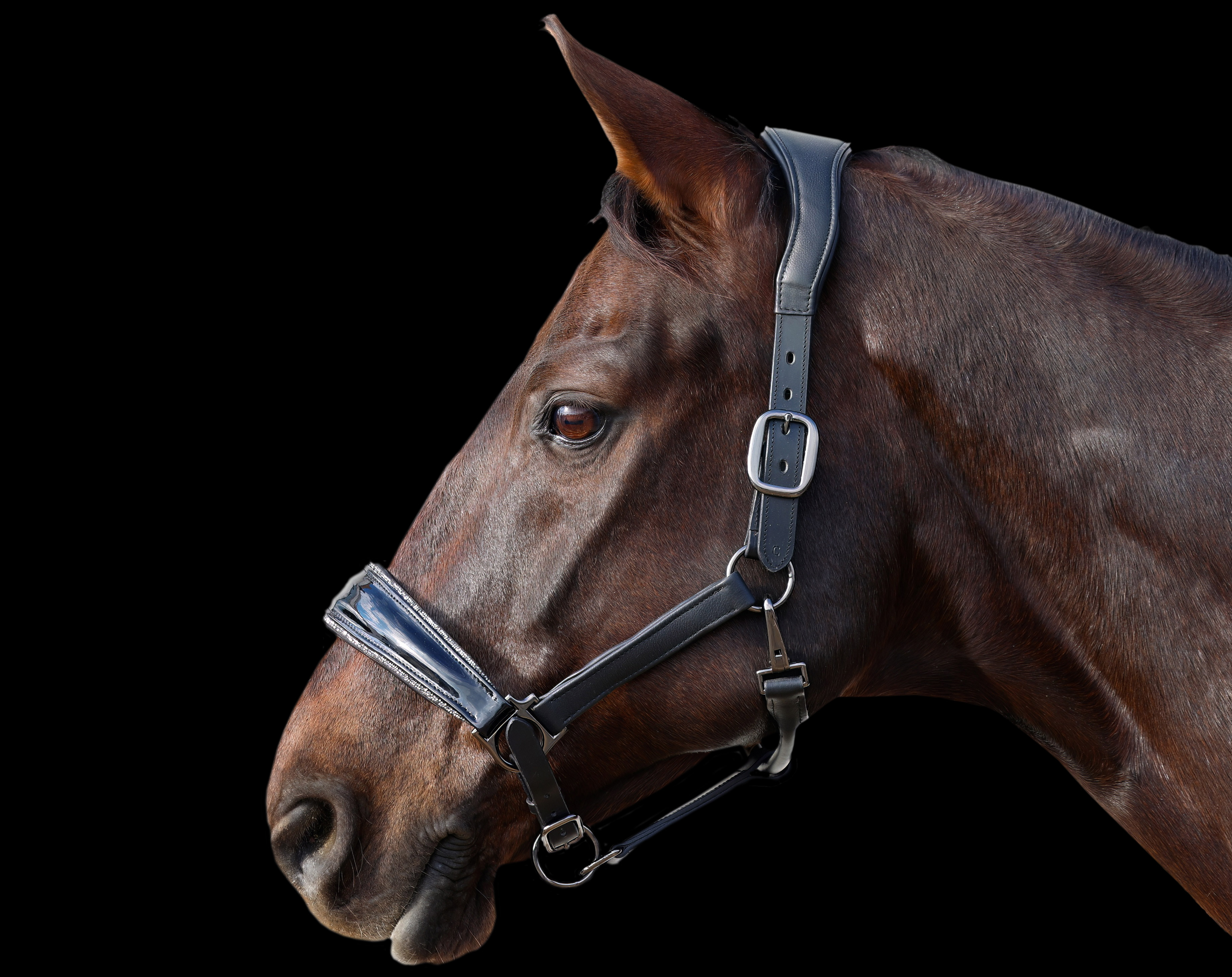 Halfter-Glitzer-Shiny-Weich-Softleder-Schwarz-Grau