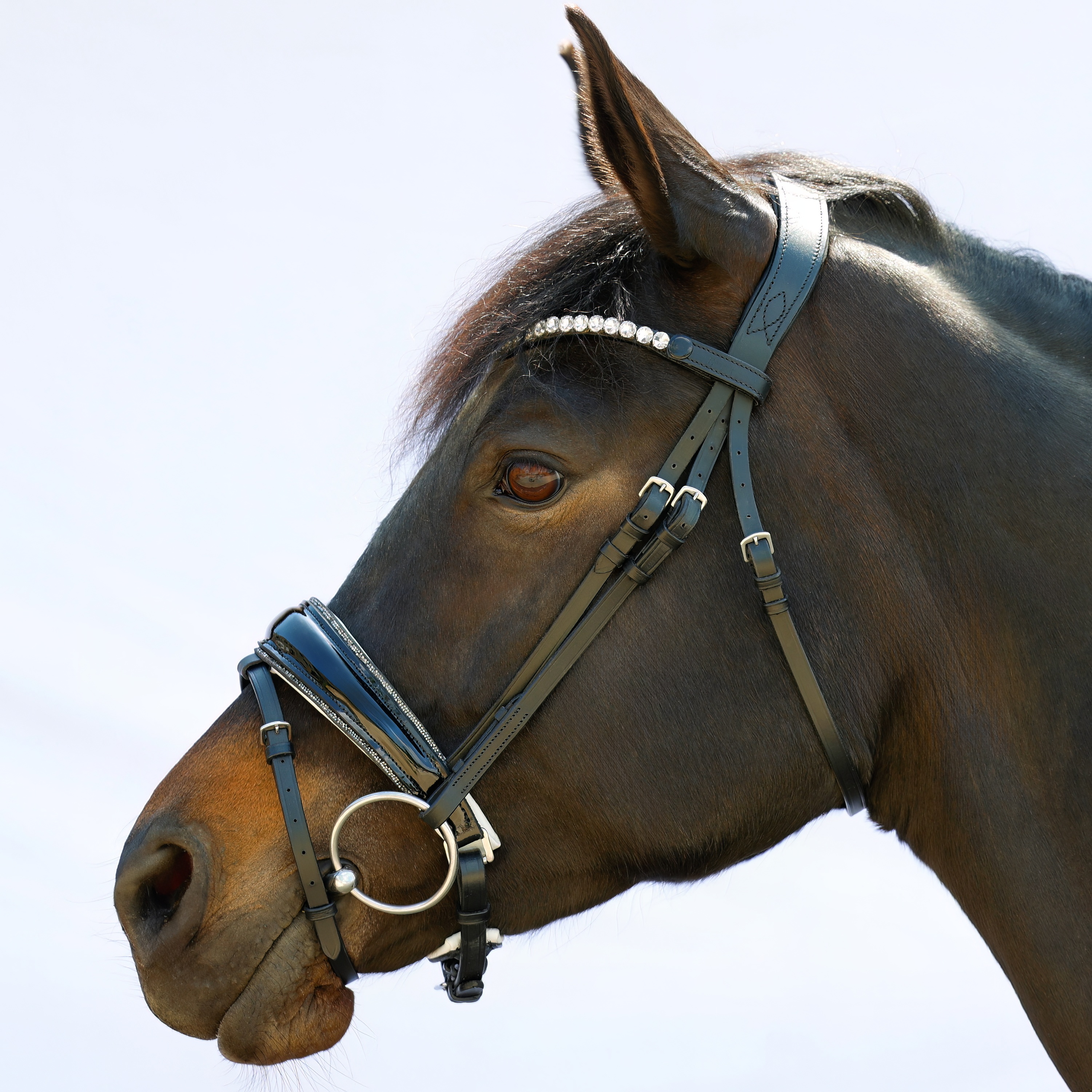 Trense-entfernbarer-Sperrriemen-Schwarz-Weiss-Shiny-Glitzer-Grau