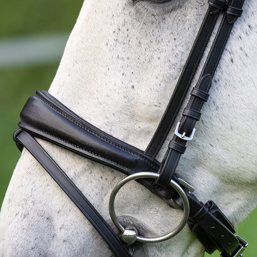 Backenstuecke-Competition-Schwarz-Schnallen-Warmblut-Vollblut