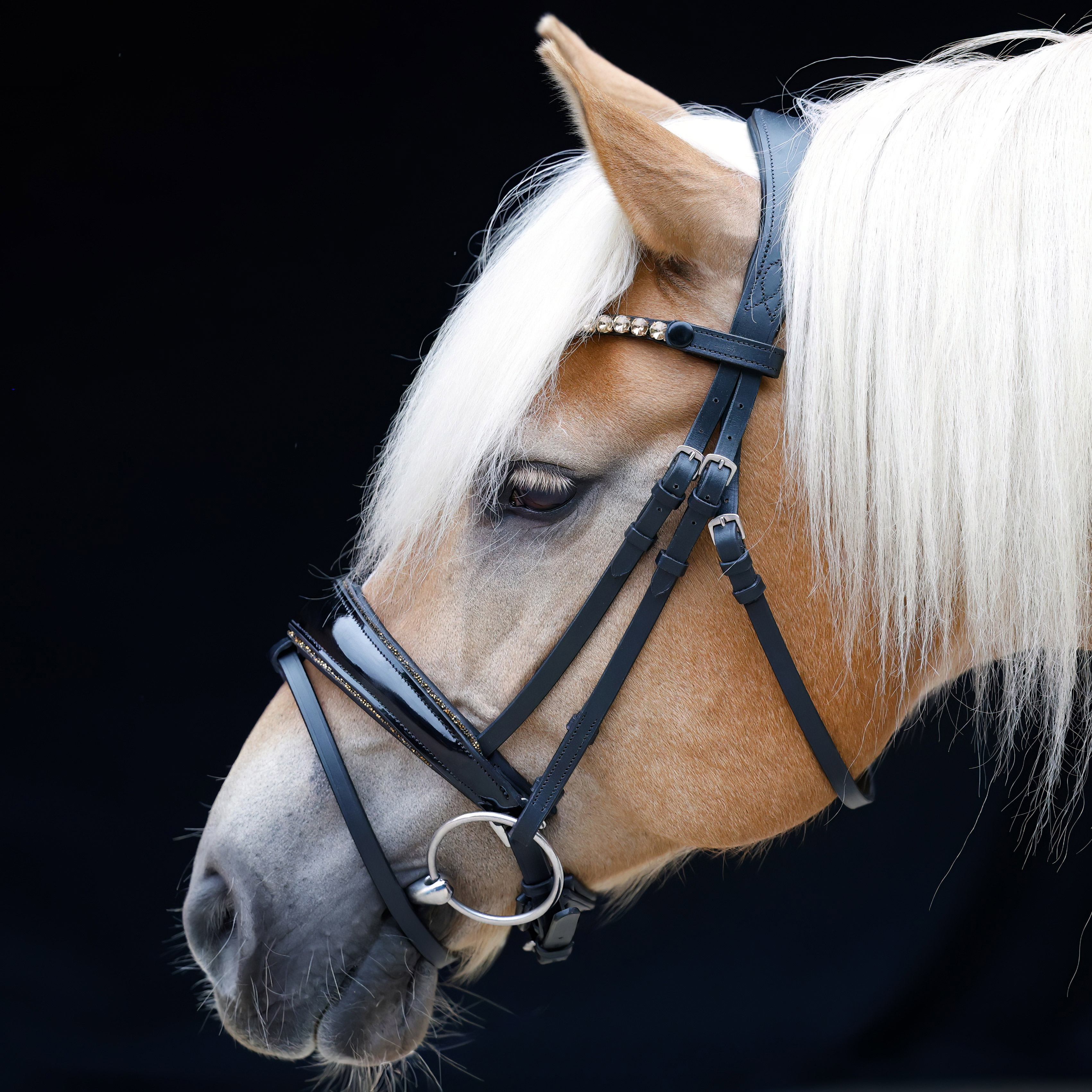 Trense-abnehmbarer-Sperrriemen-Schwarz-Shiny-Glitzer-Gold