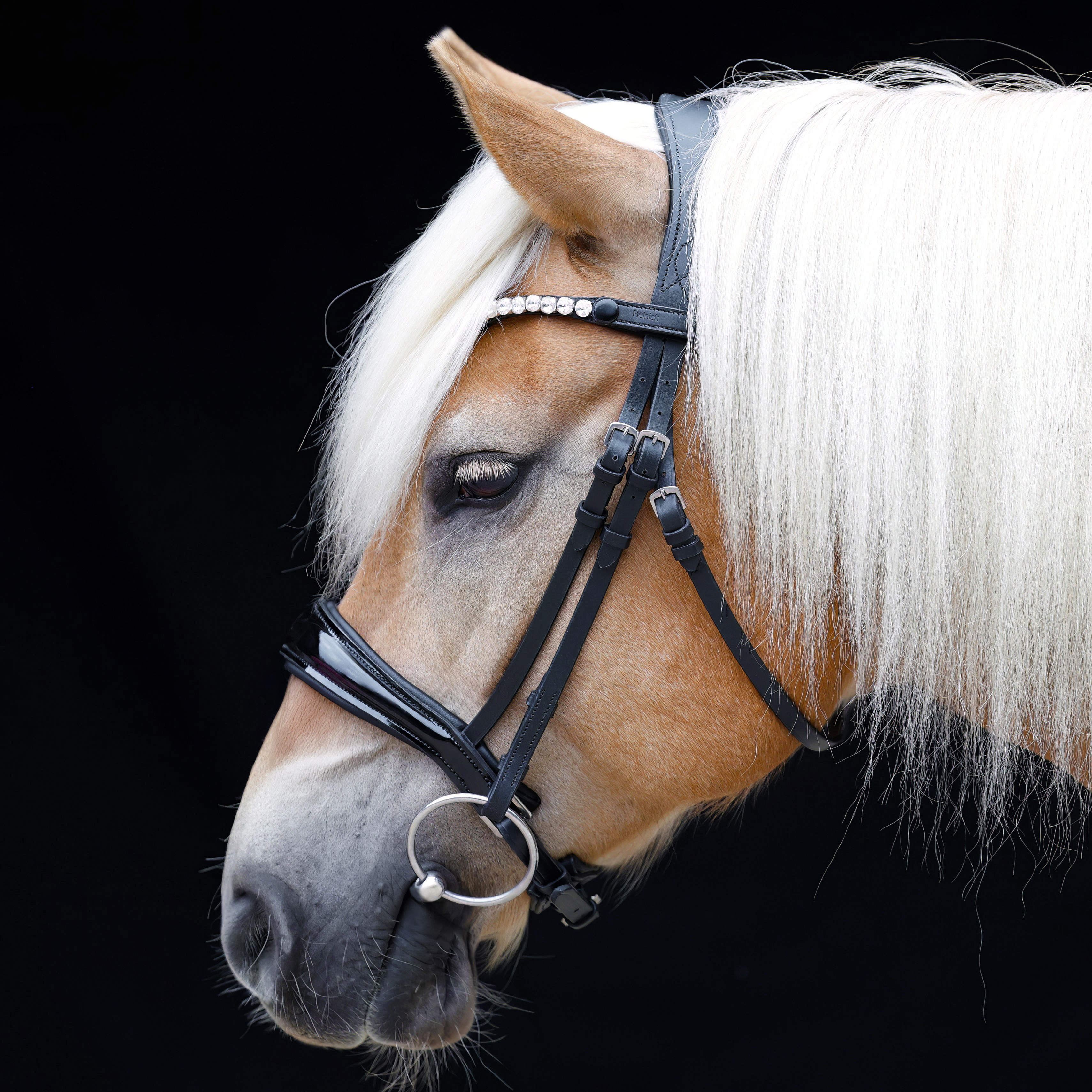 Trense-Competition-ohne-Sperrriemen-Schwarz-Lack-Zaumhaken