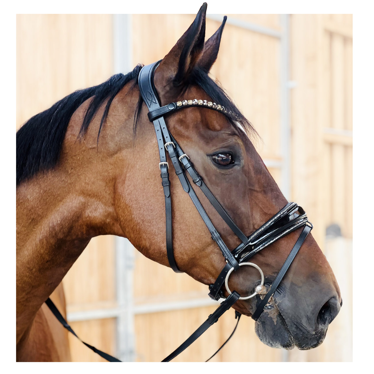 daroda-shiny-trense-lack