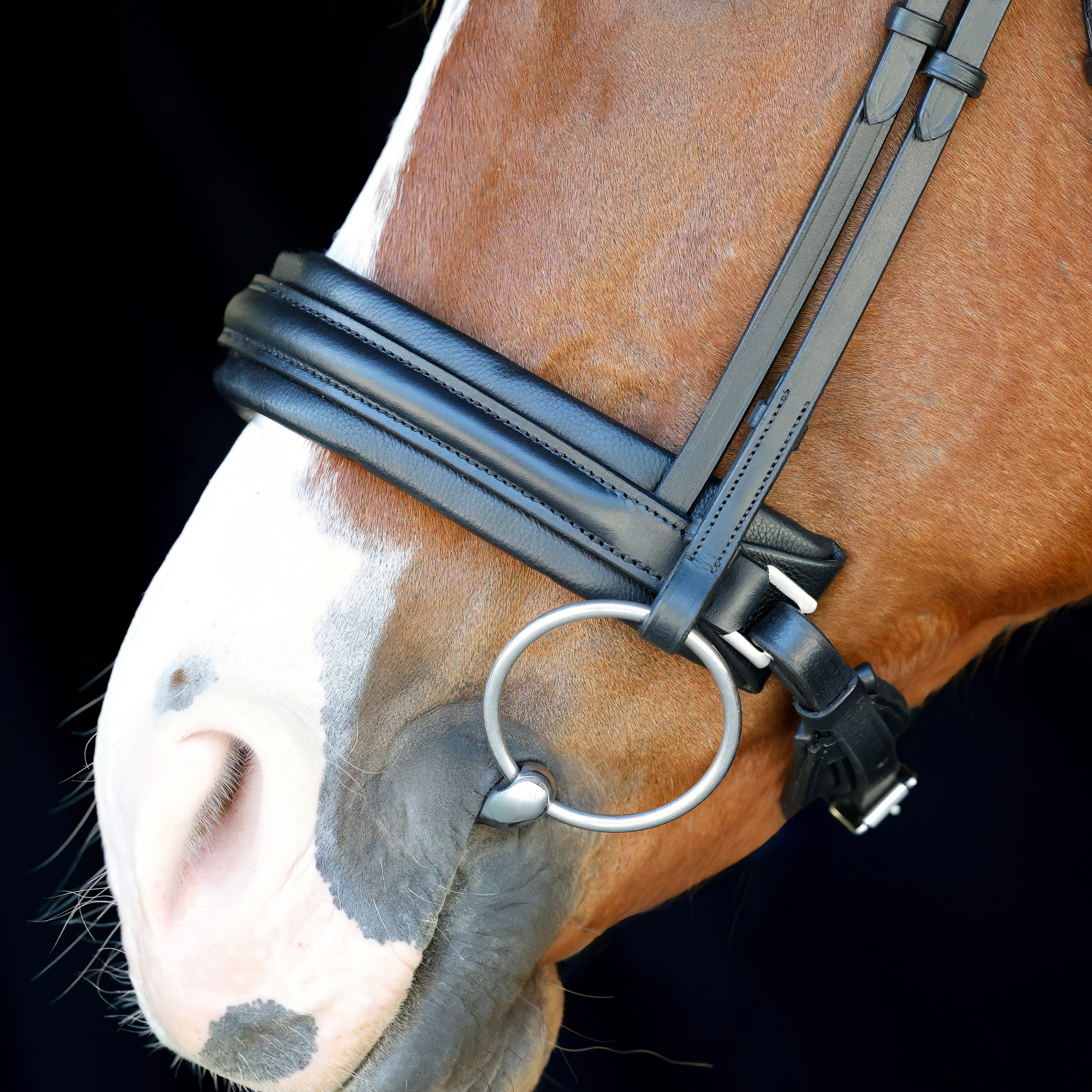 Reithalfter-ohne-Sperrriemen-Motion-Breit-Schwarz