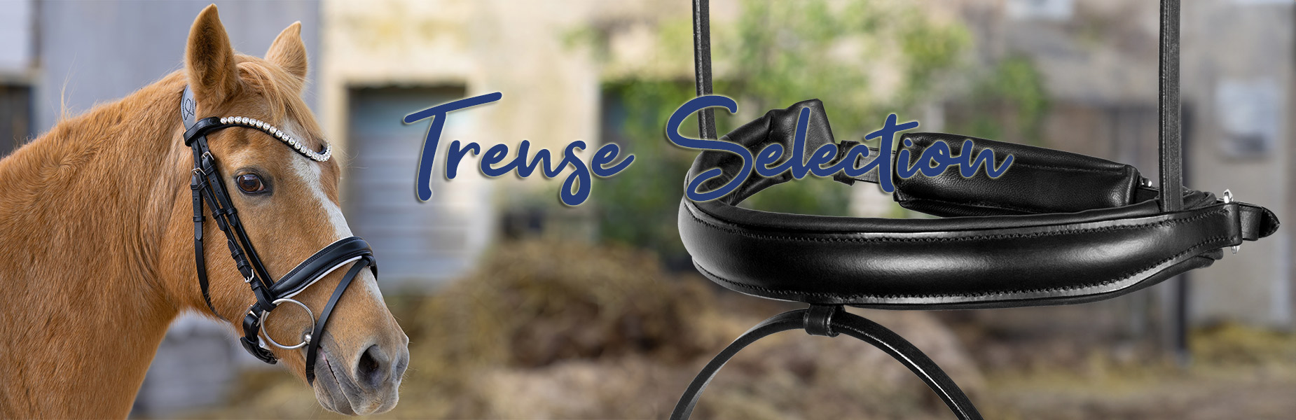 Trense-Selection-Banner