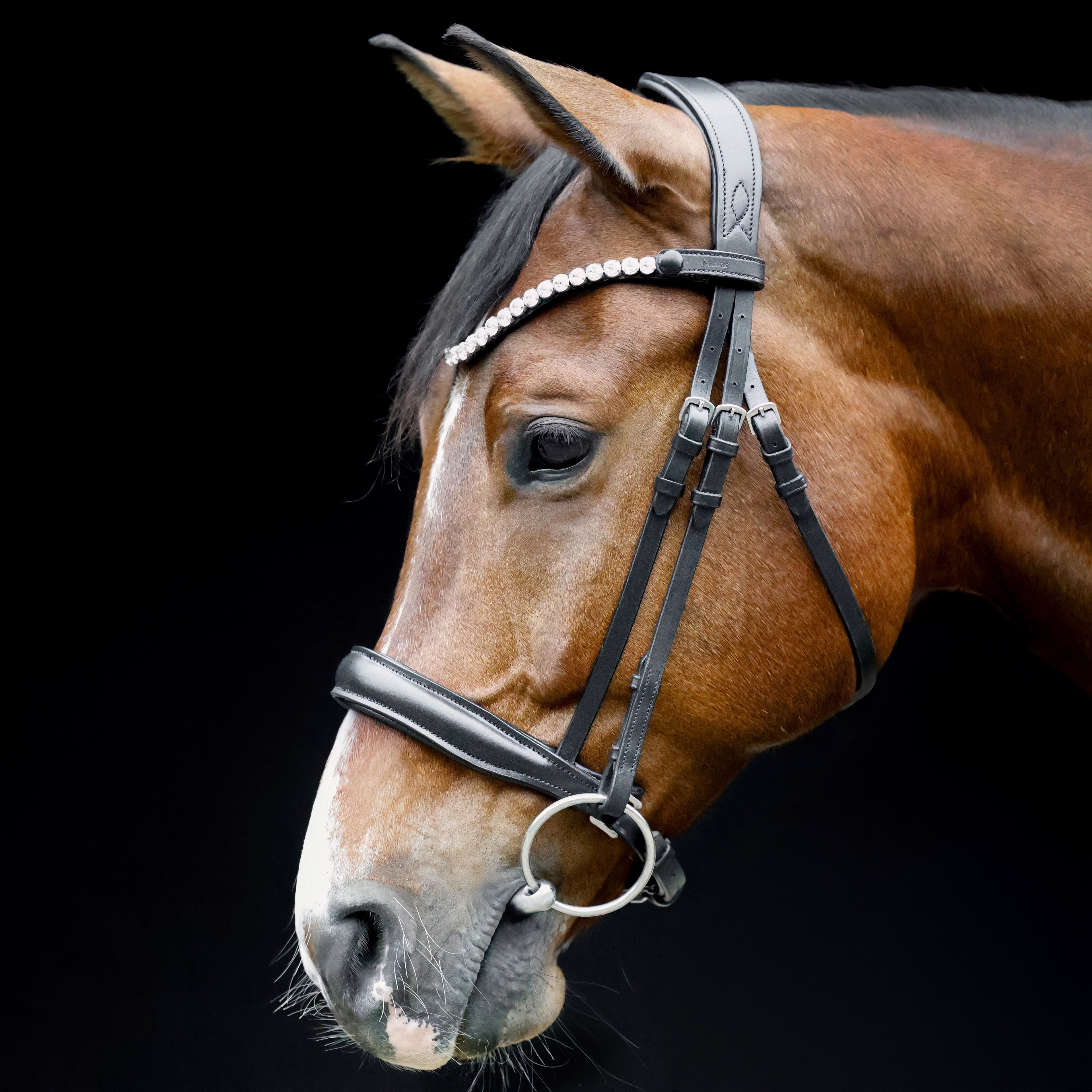 Trense-Selection-anatomisch-Reithalfter-Schwarz-ohne-Sperrriemen