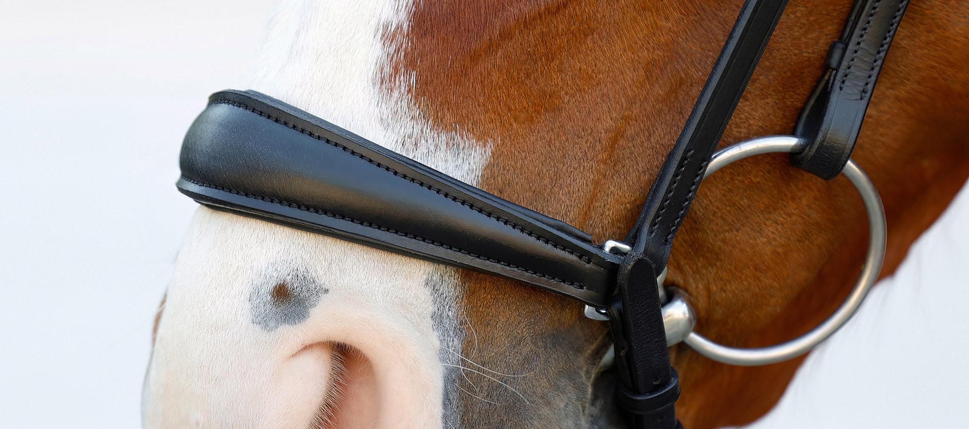 Reithalfter-Comfort-Hannoveranisch-hannover-hannoversch-Schwarz