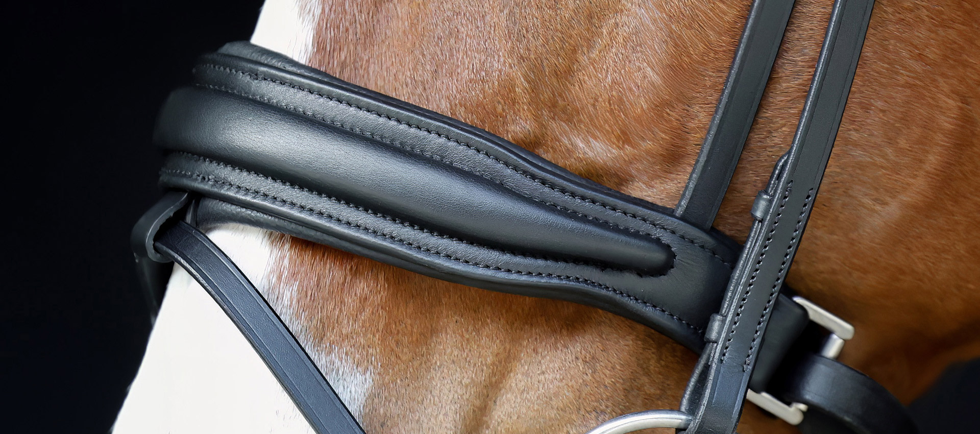 Reithalfter-entfernbarer-Sperrriemen-Custom-Breiter-Nasenriemen-Schwarz