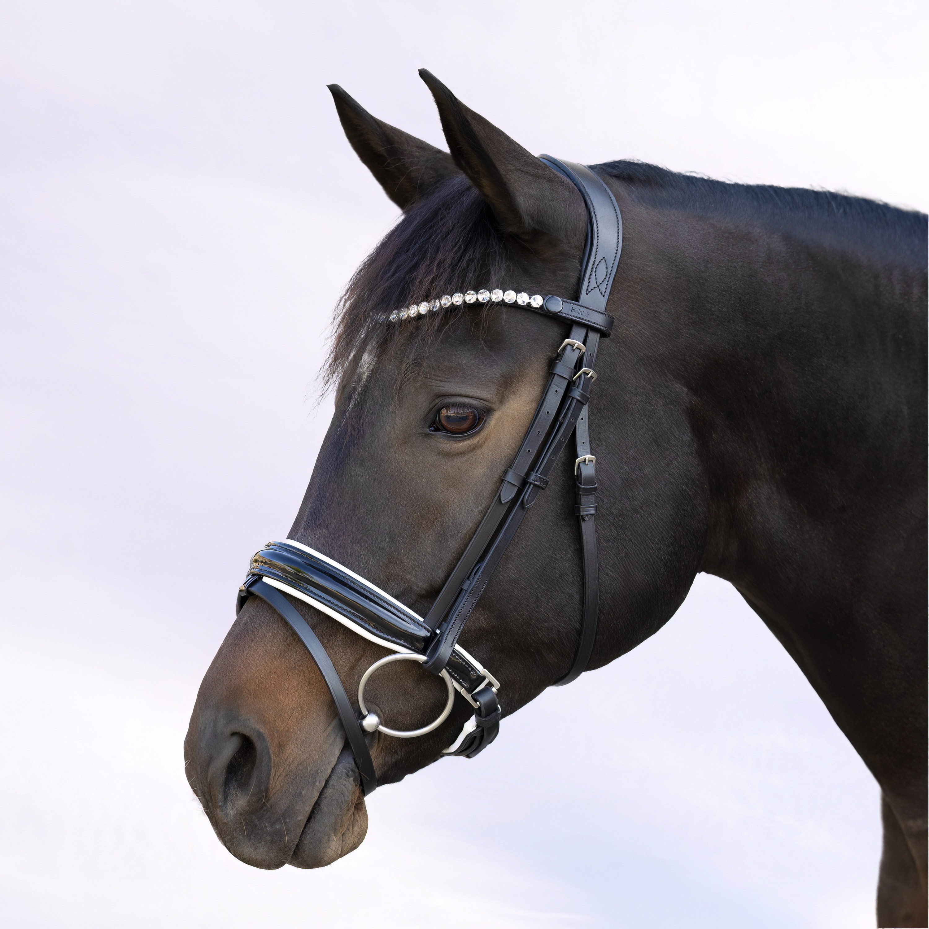 Trense-Selection-Weiss-Lack-Zaumhaken